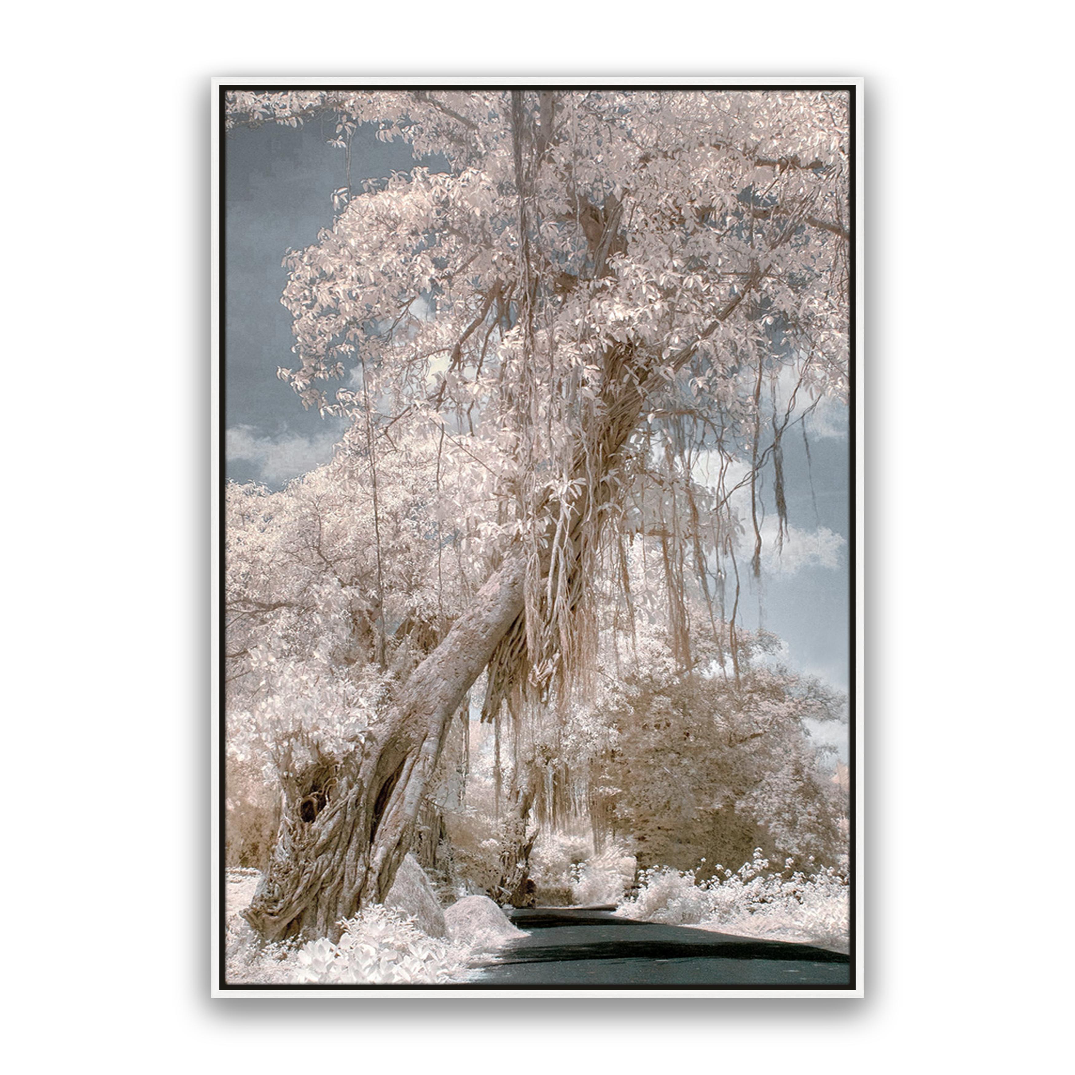 Paradise Road