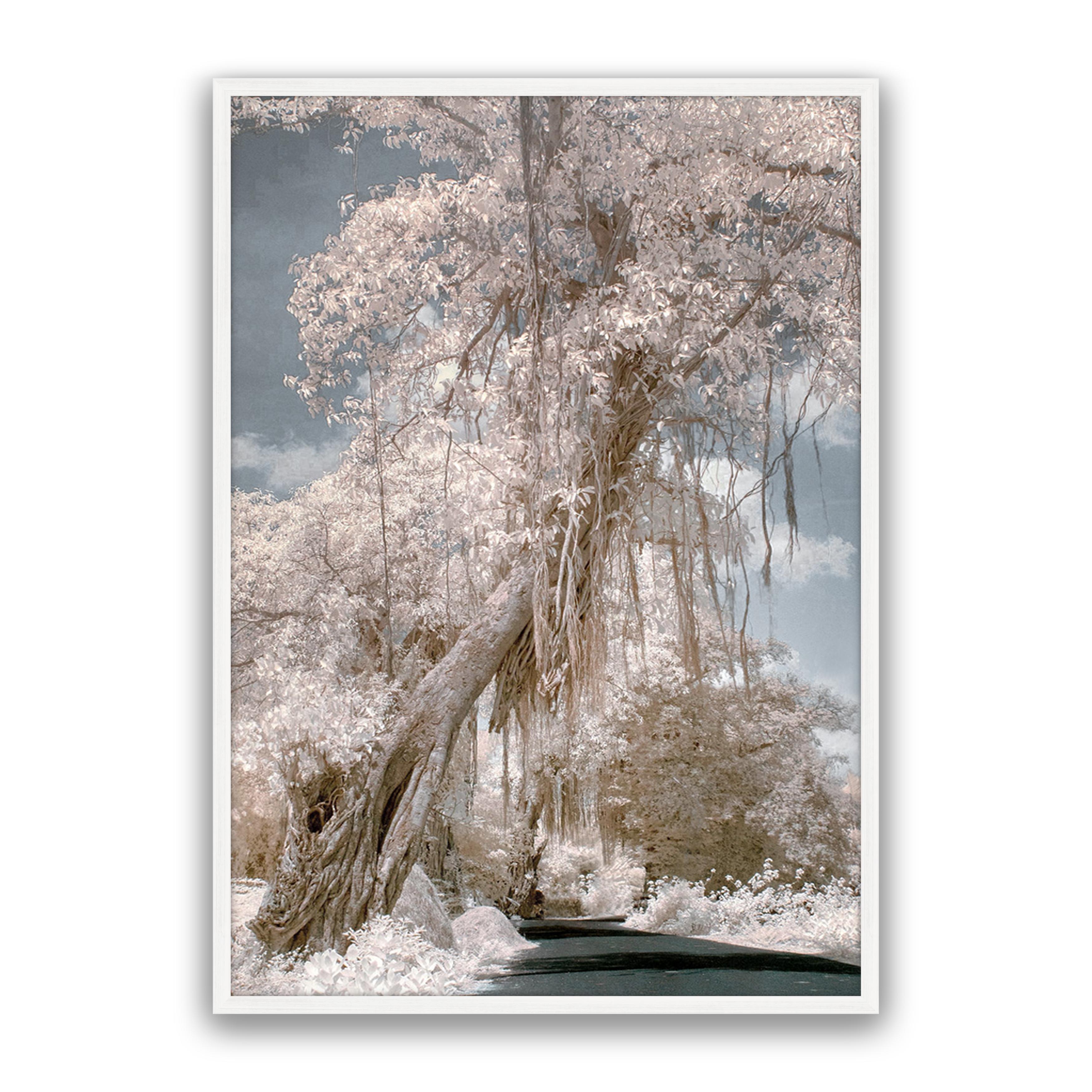 Paradise Road