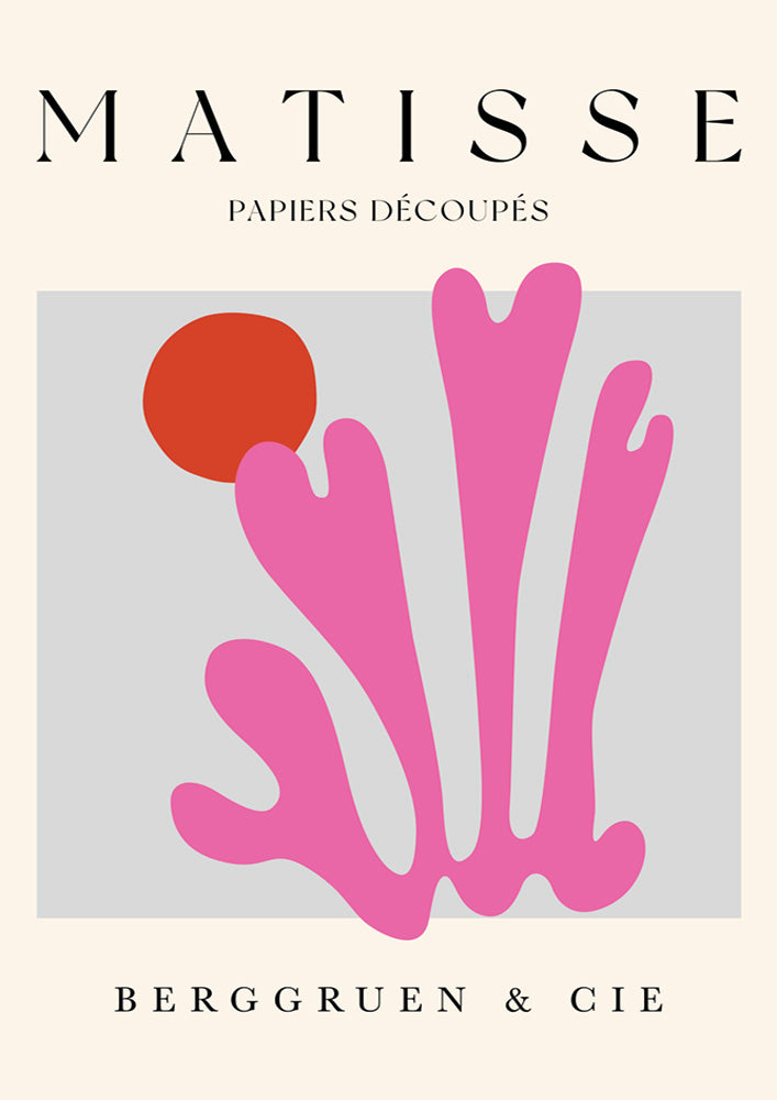 Matisse Pink