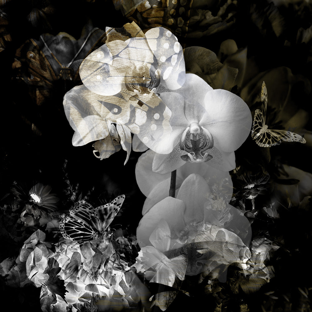 Luxe Flower Overlay