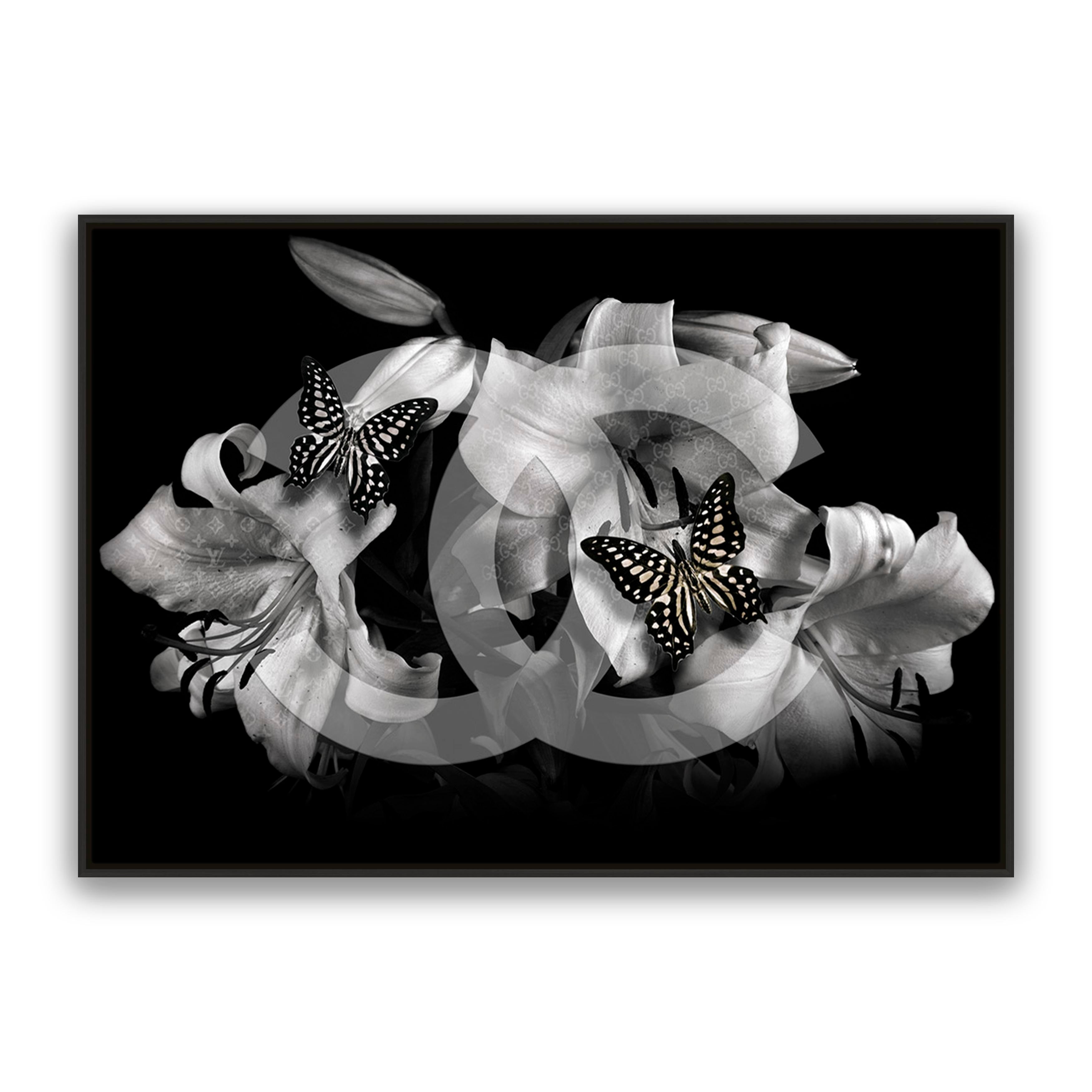 Luxe Noir