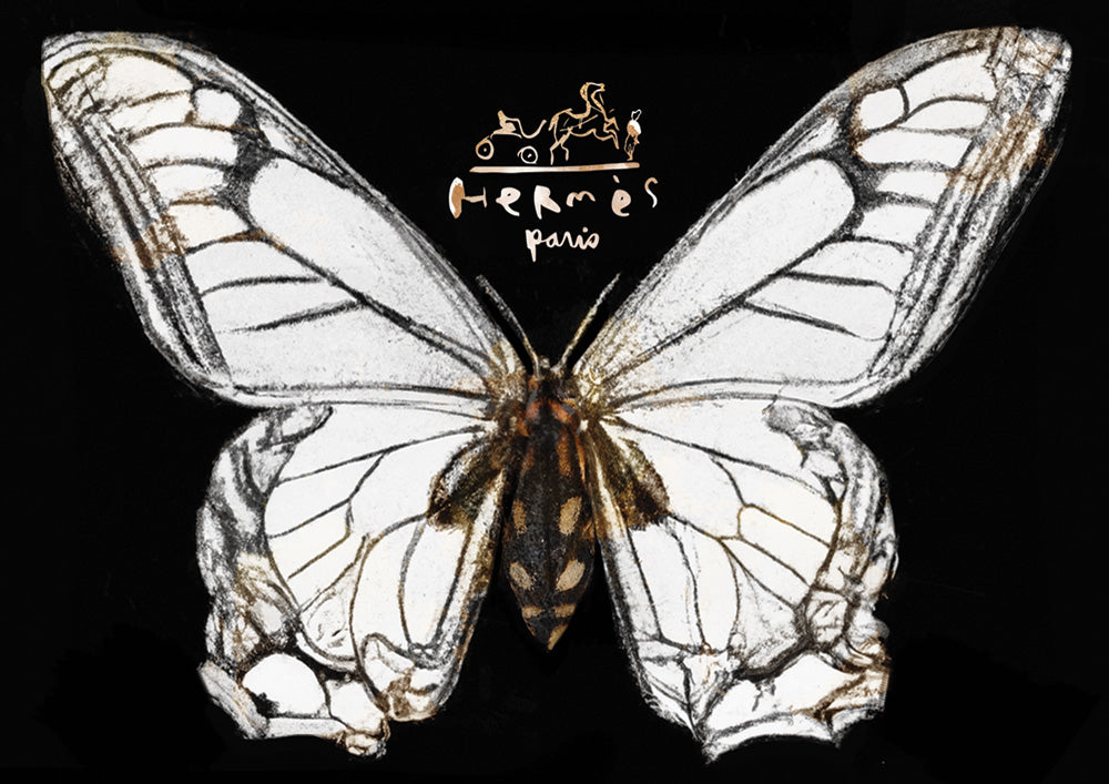 Hermes Butterfly