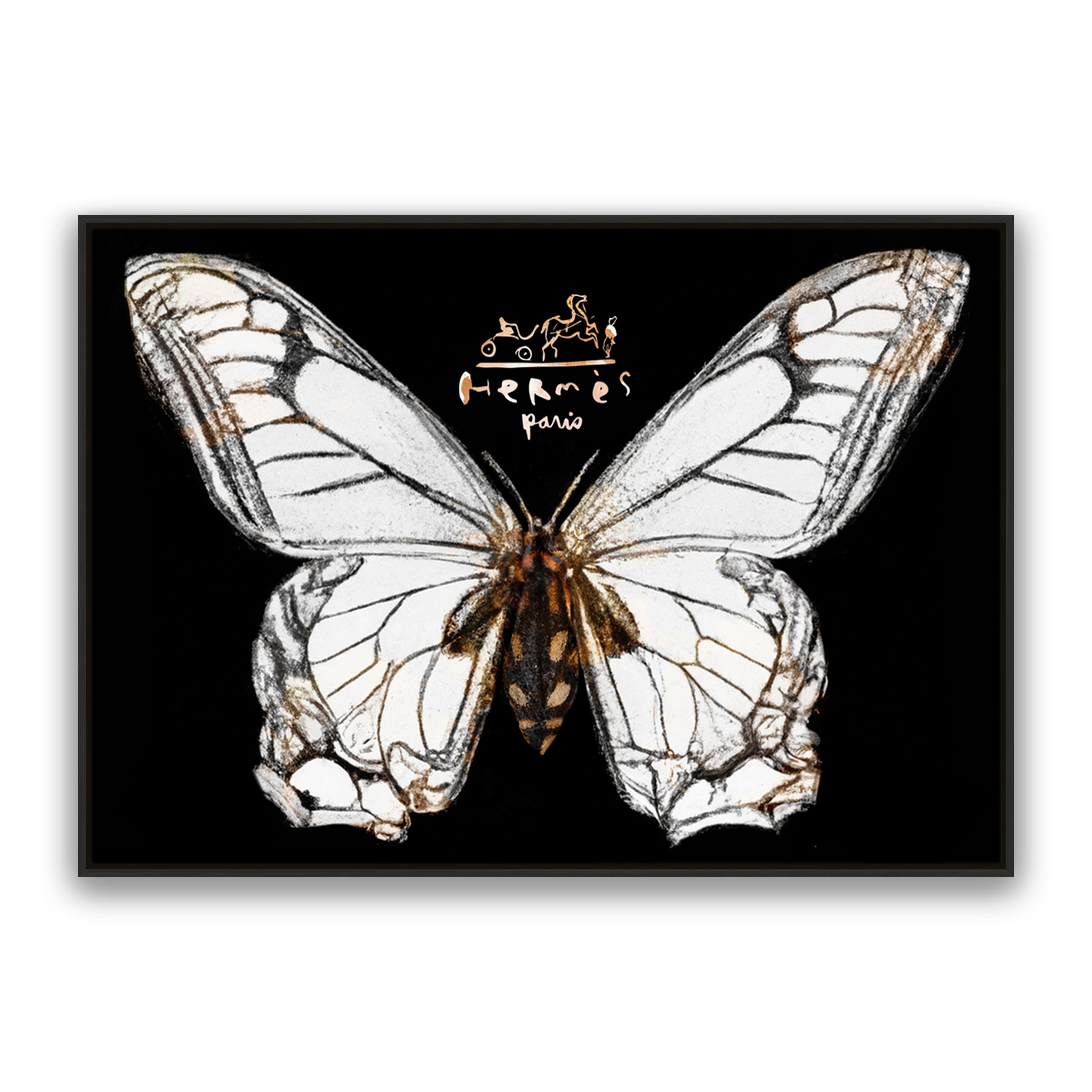 Hermes Butterfly