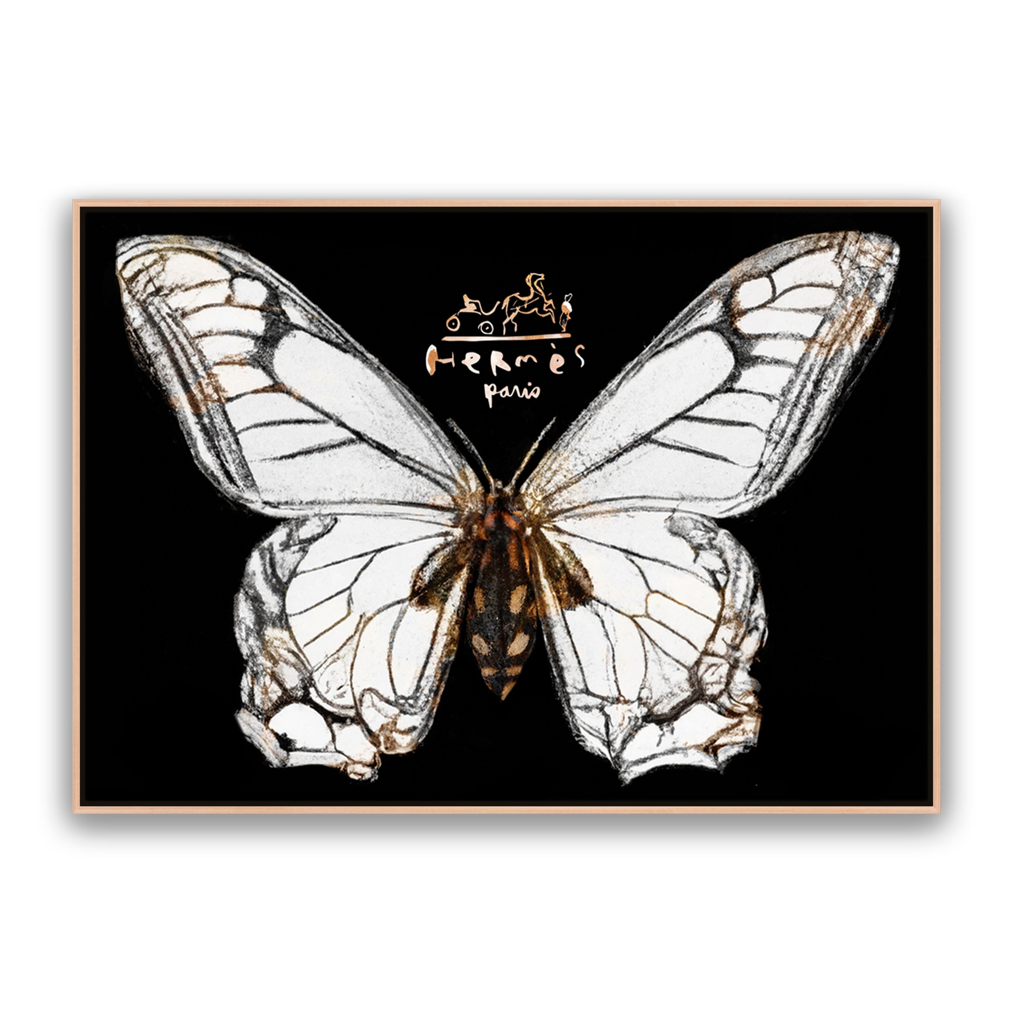 Hermes Butterfly