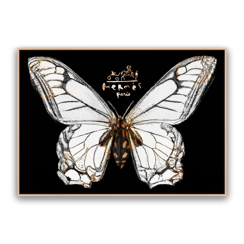 Hermes Butterfly