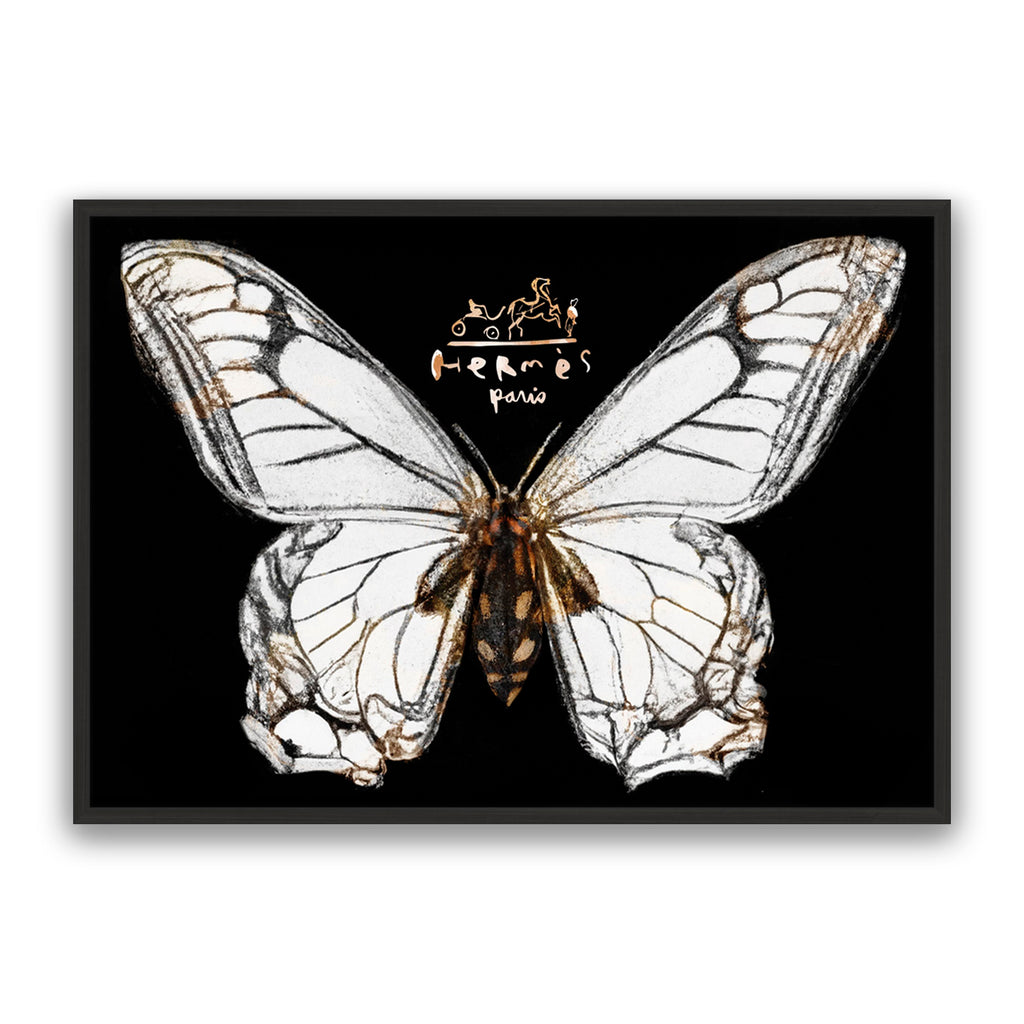 Hermes Butterfly