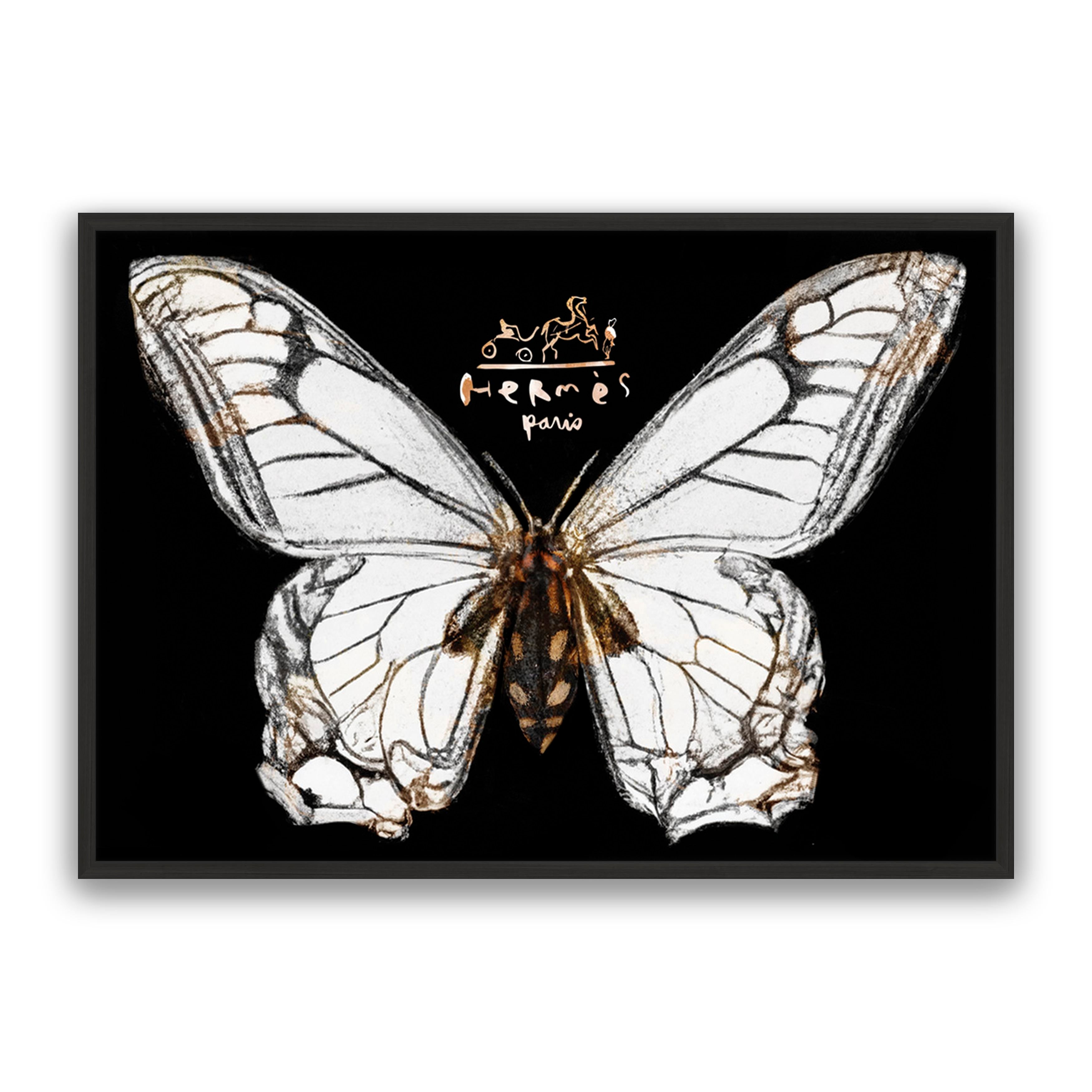 Hermes Butterfly