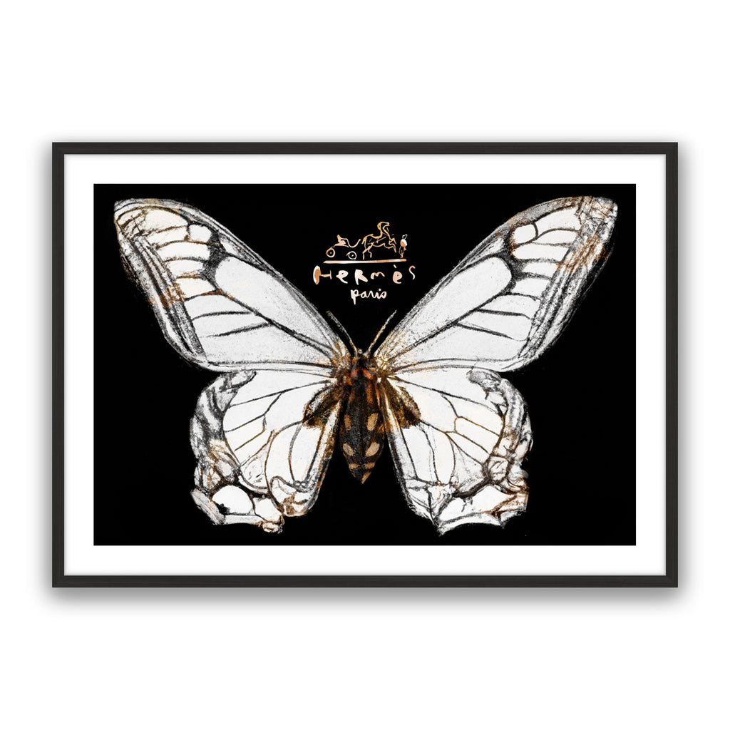 Hermes Butterfly