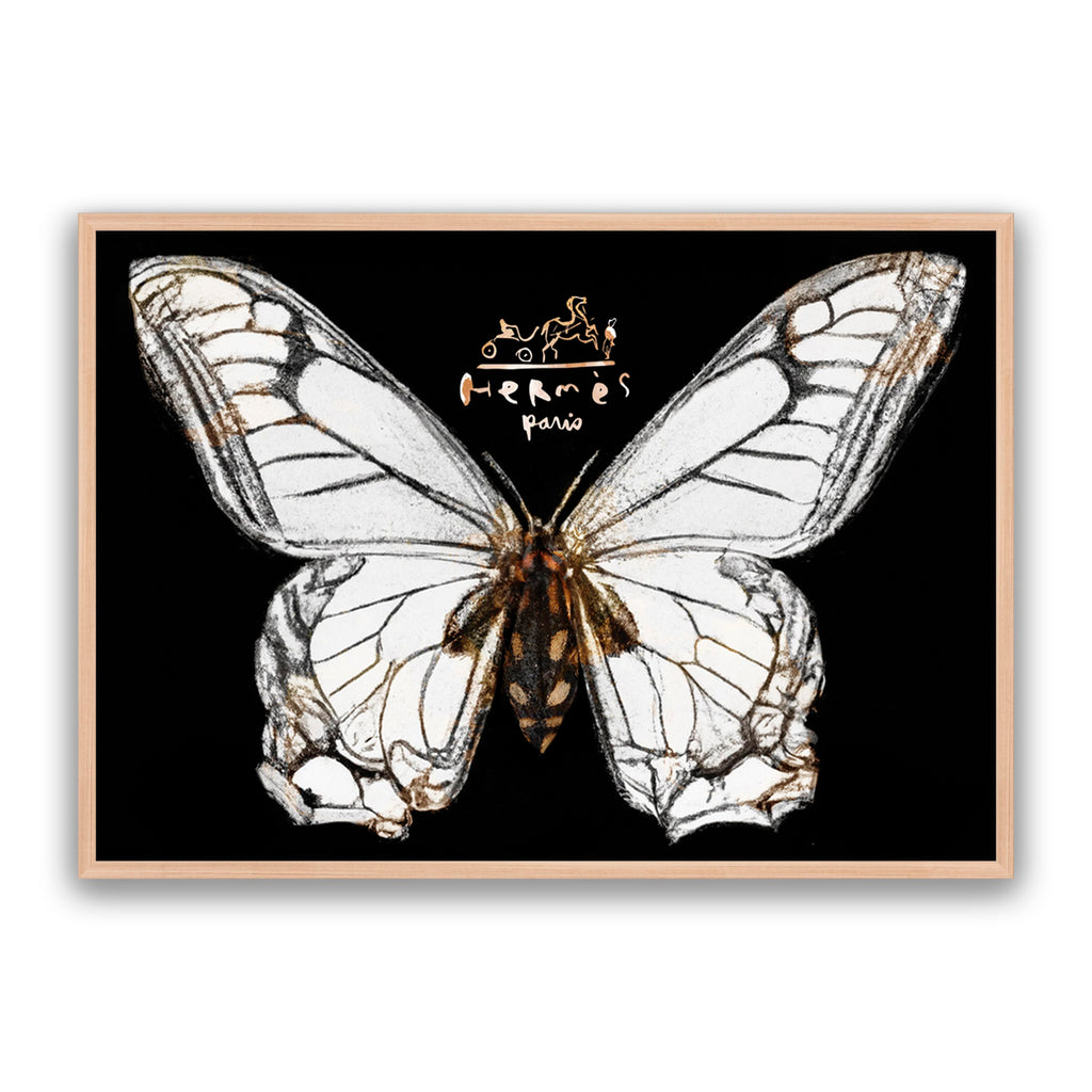 Hermes Butterfly