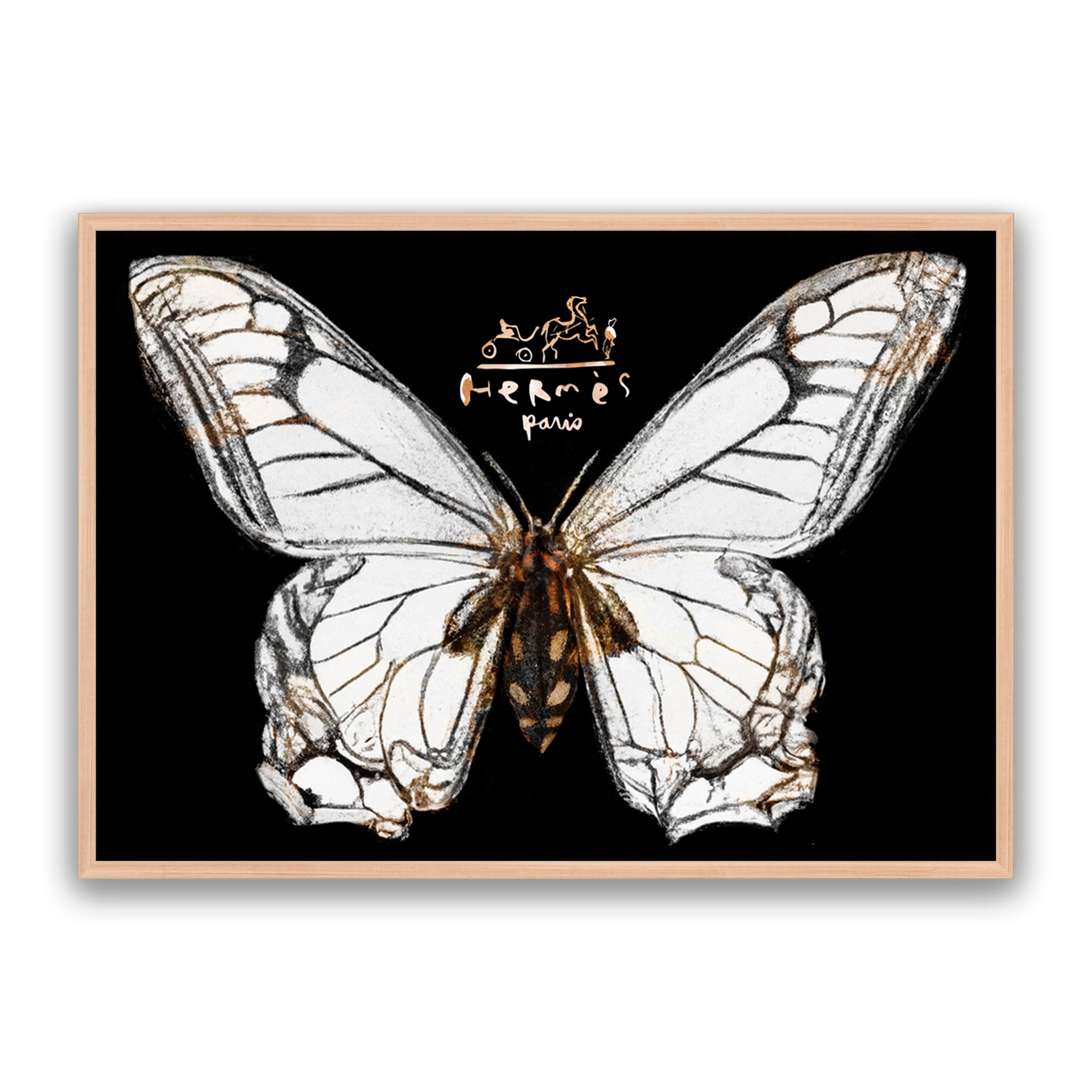 Hermes Butterfly