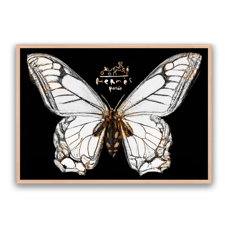 Hermes Butterfly