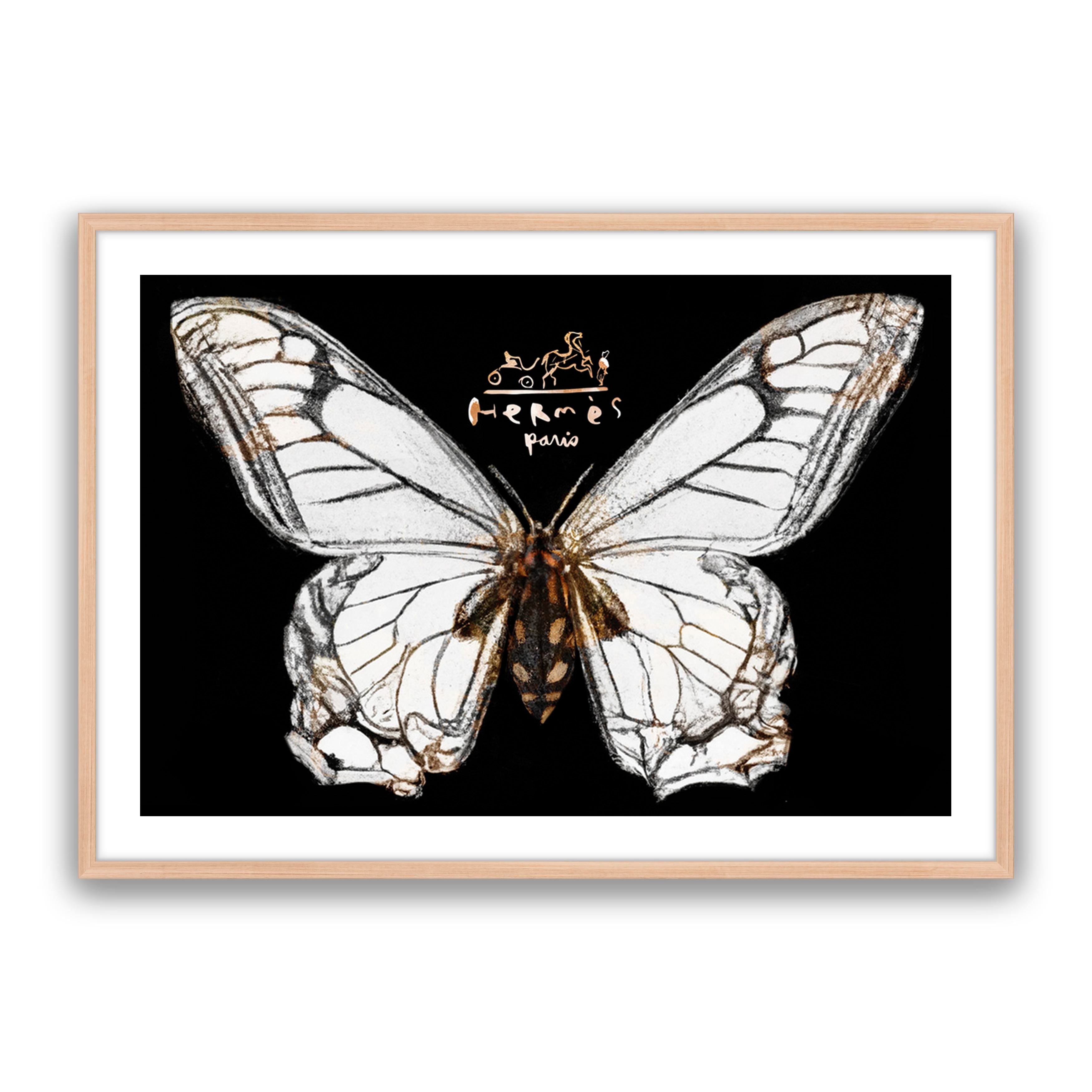 Hermes Butterfly