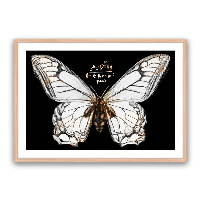 Hermes Butterfly
