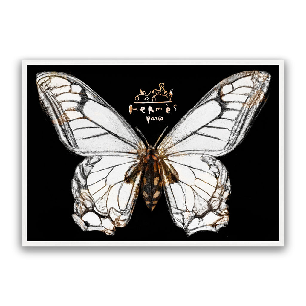 Hermes Butterfly