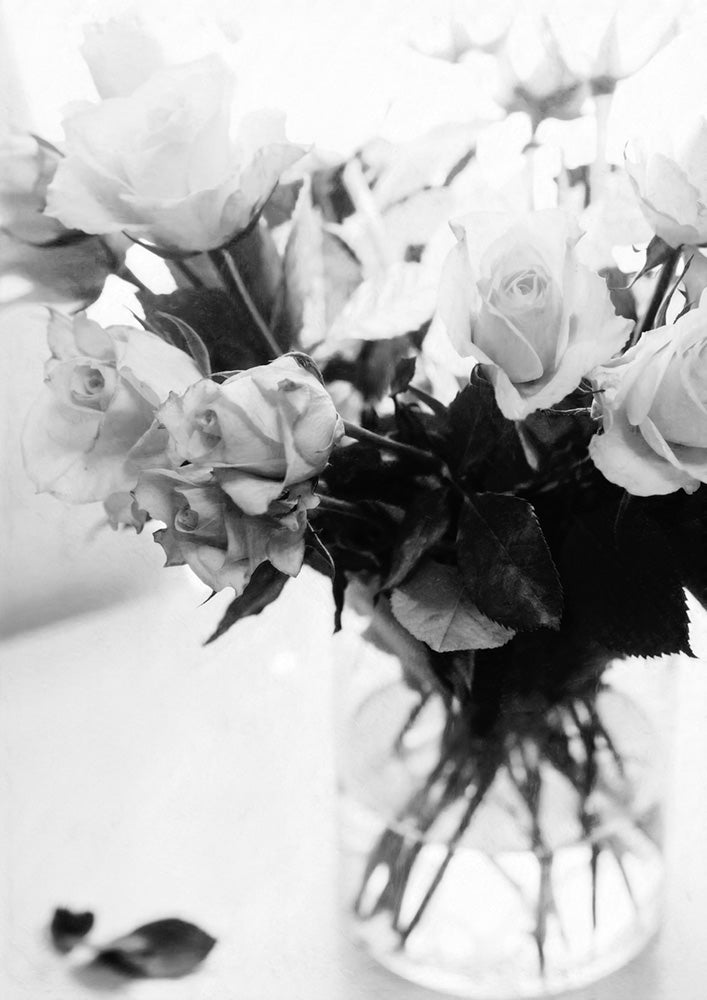 White Blossom