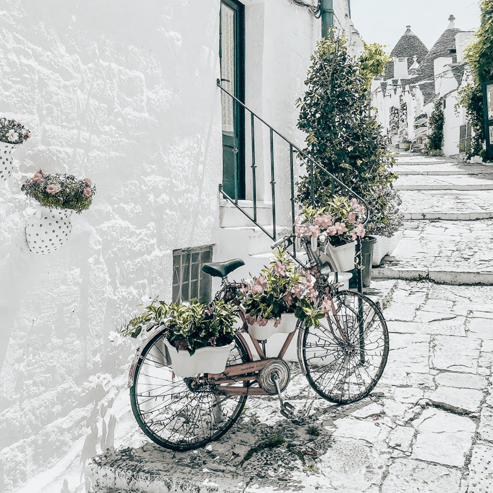 Amore Bike