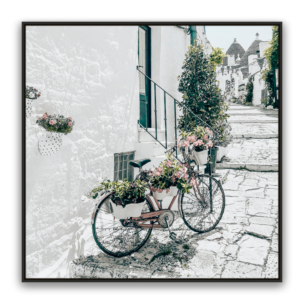 Amore Bike