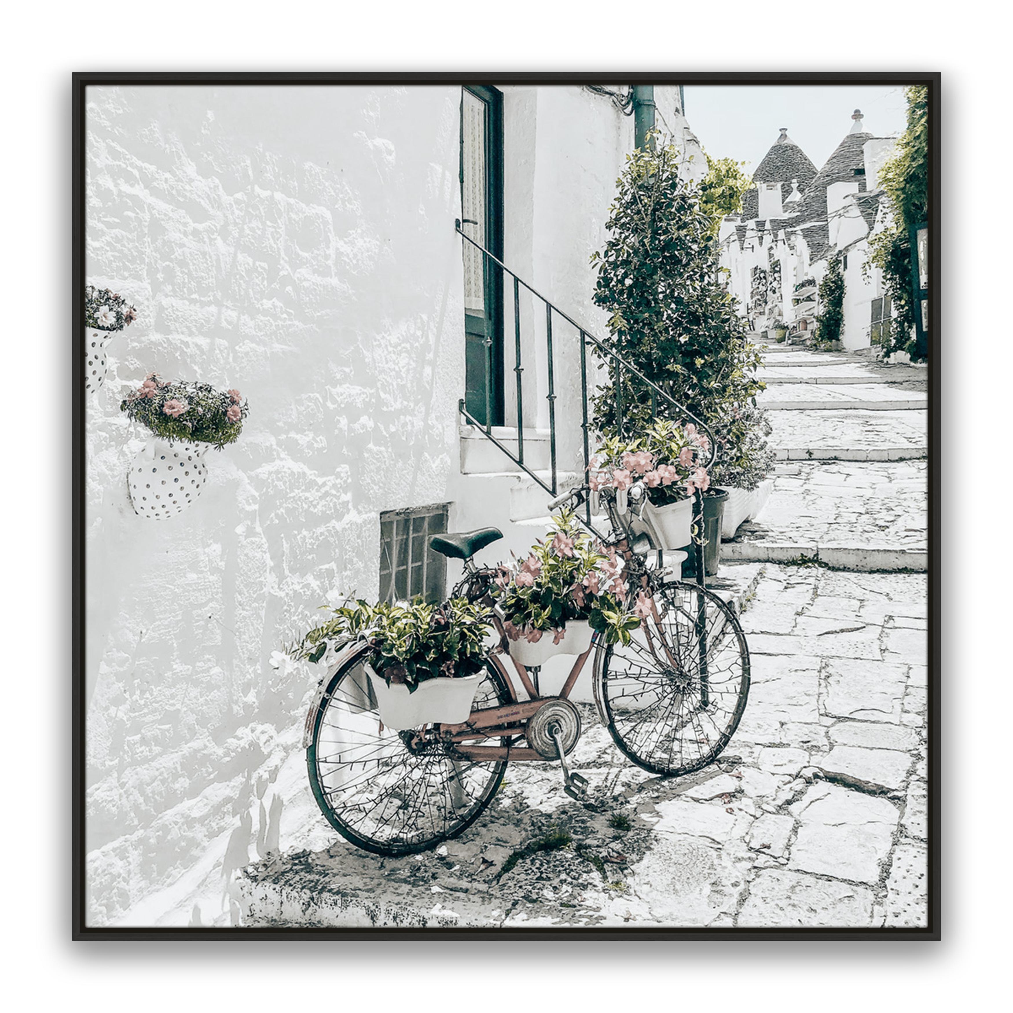 Amore Bike