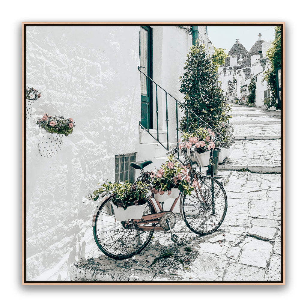 Amore Bike