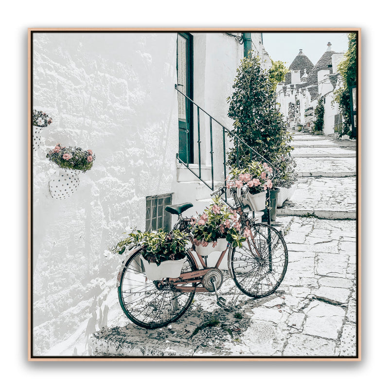 Amore Bike