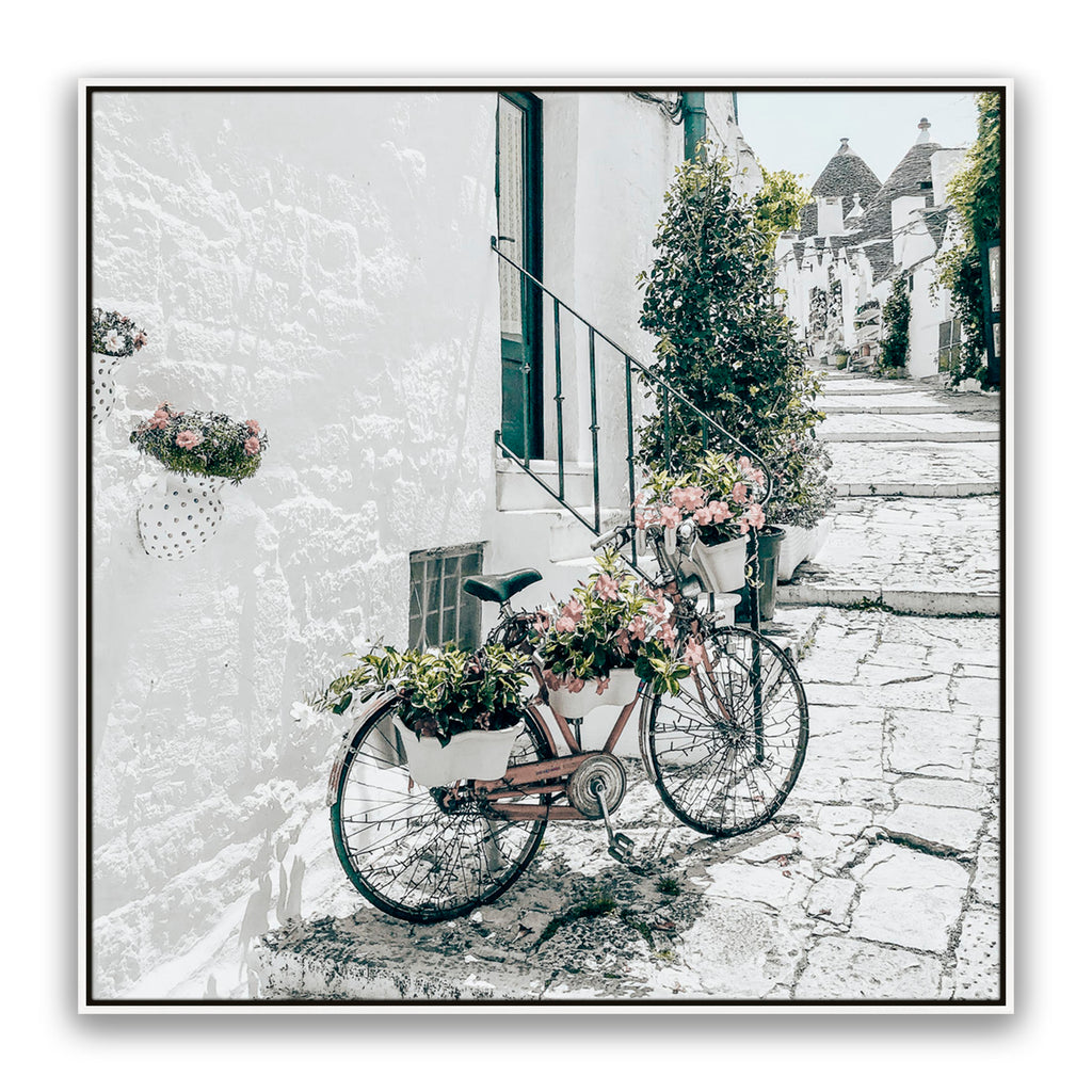 Amore Bike