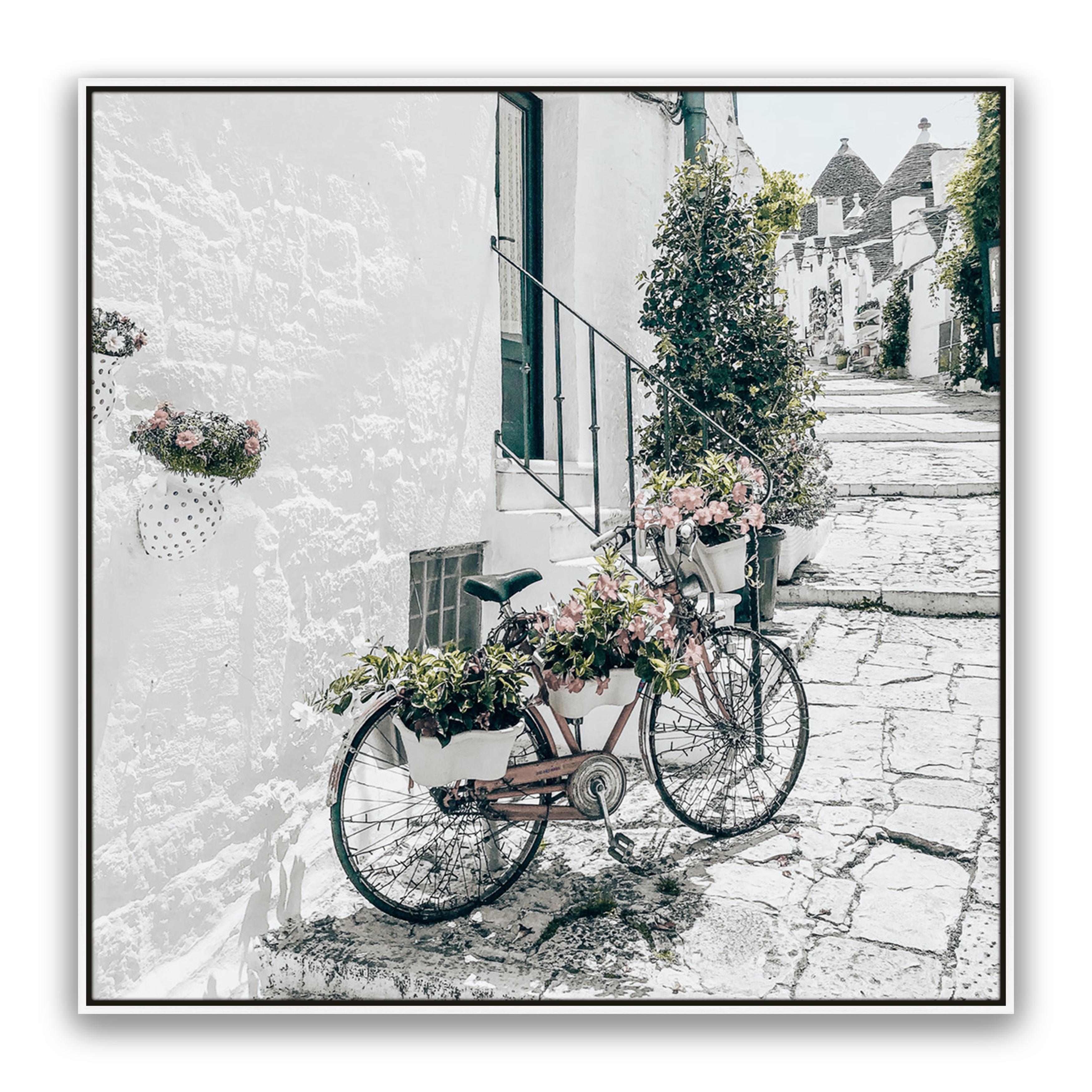 Amore Bike