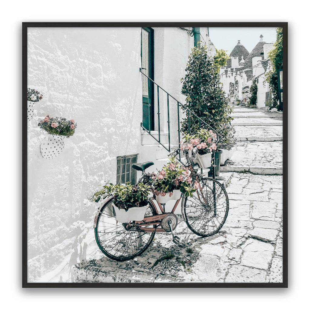 Amore Bike