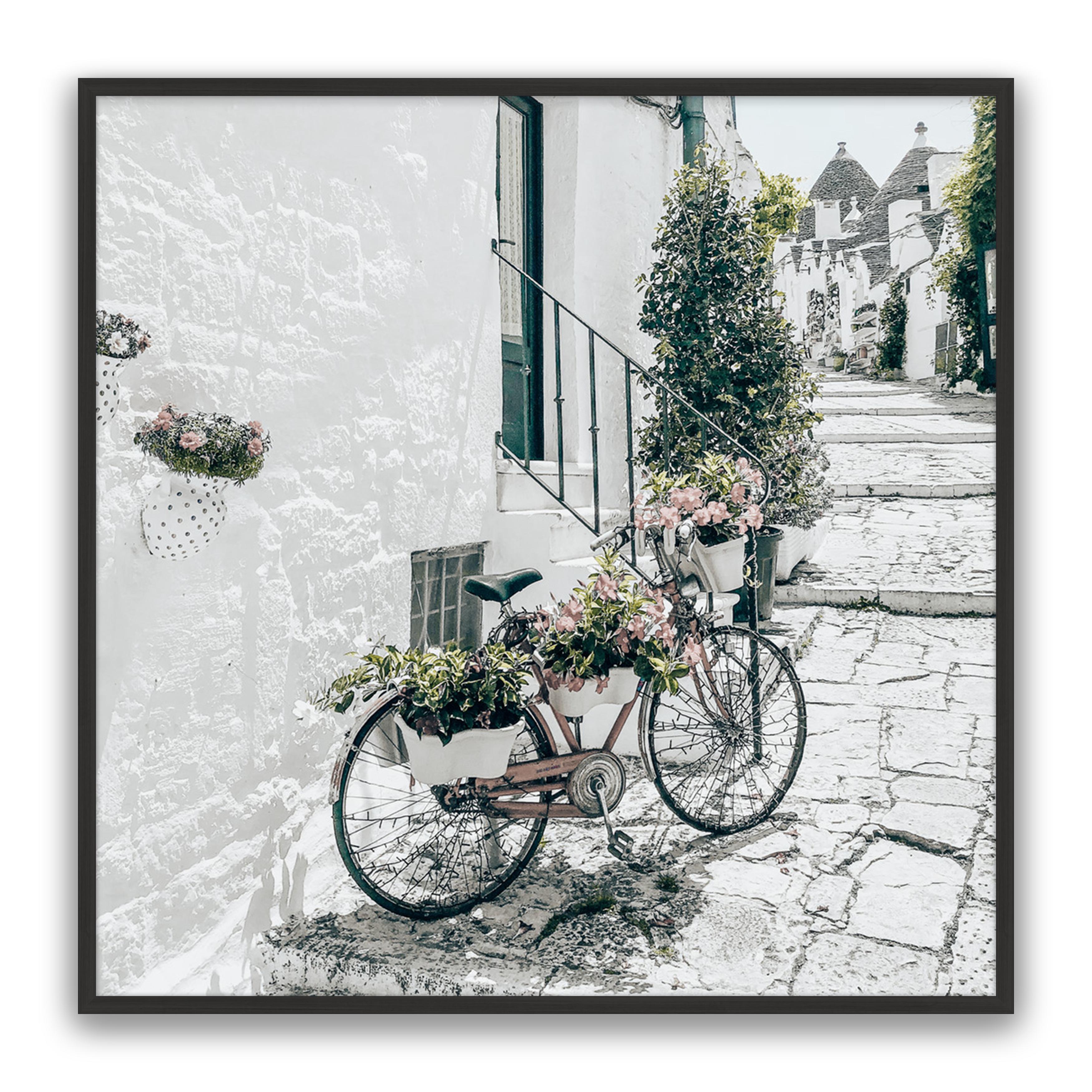 Amore Bike