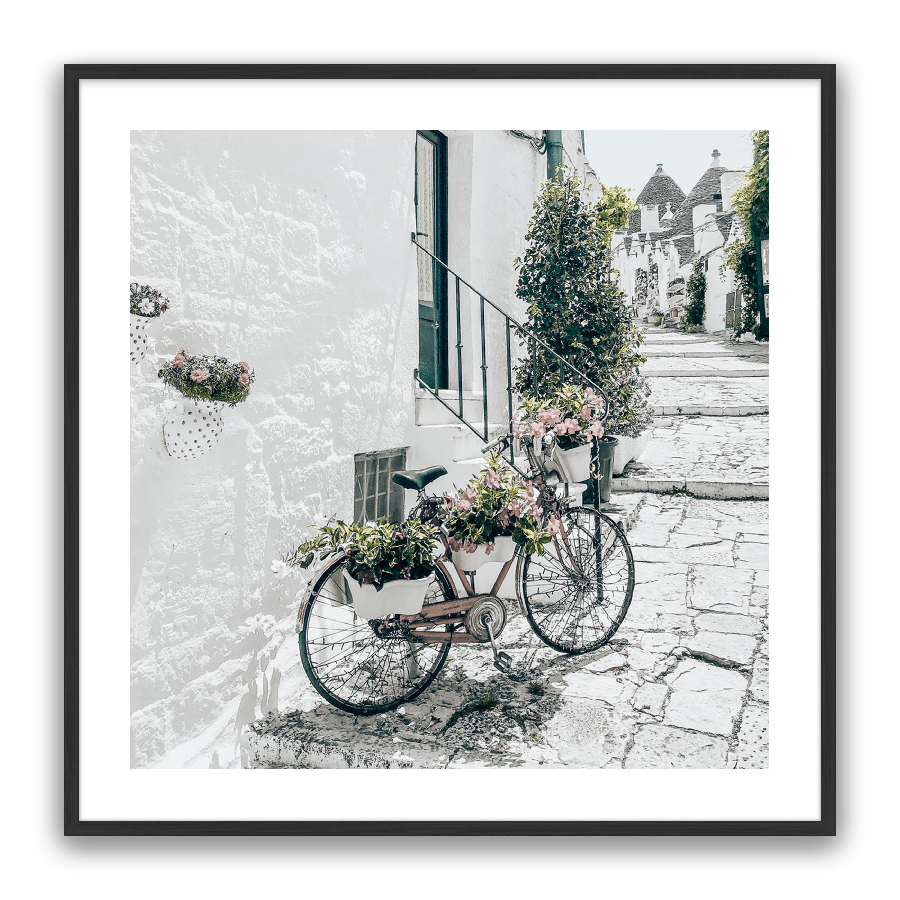 Amore Bike