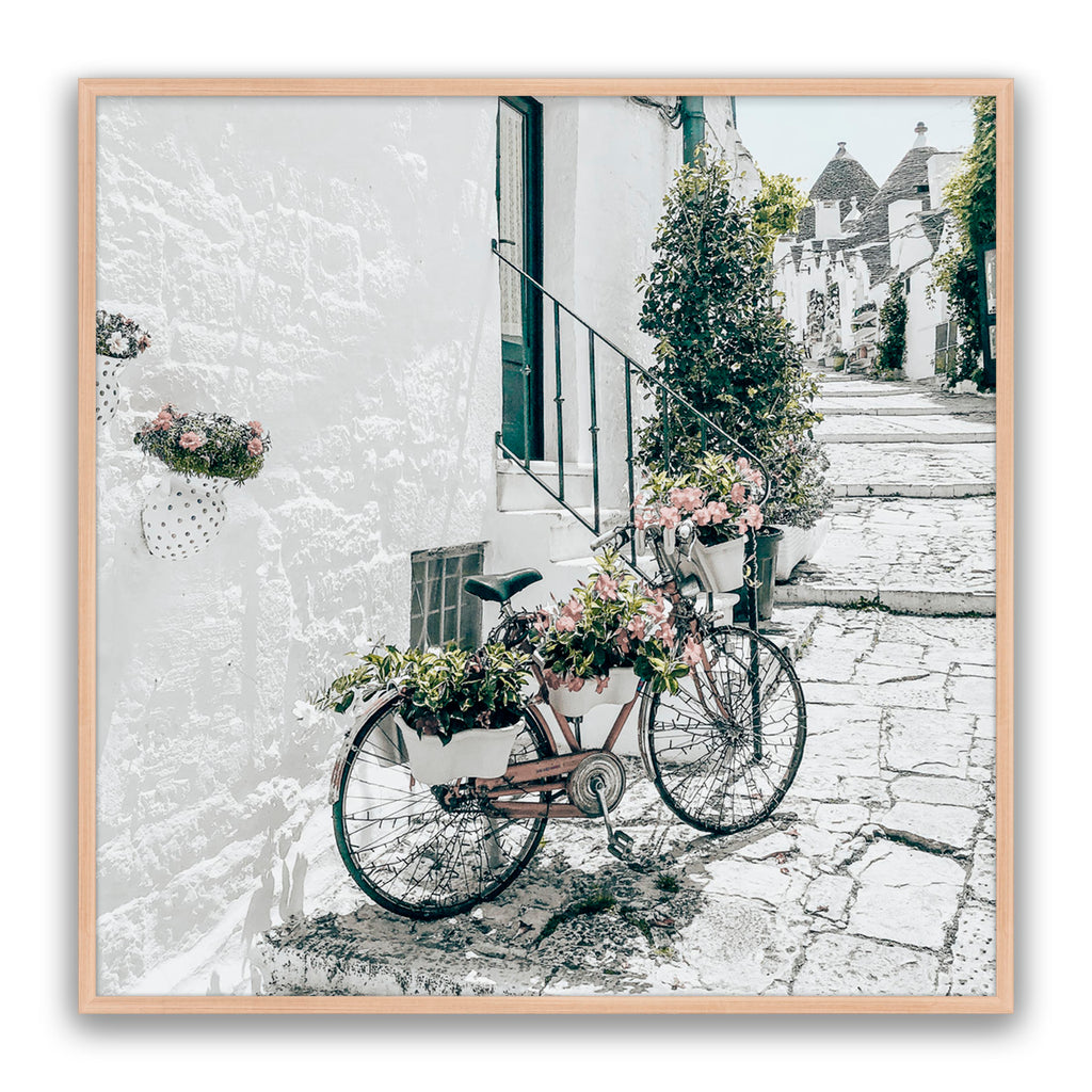 Amore Bike