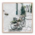 Amore Bike