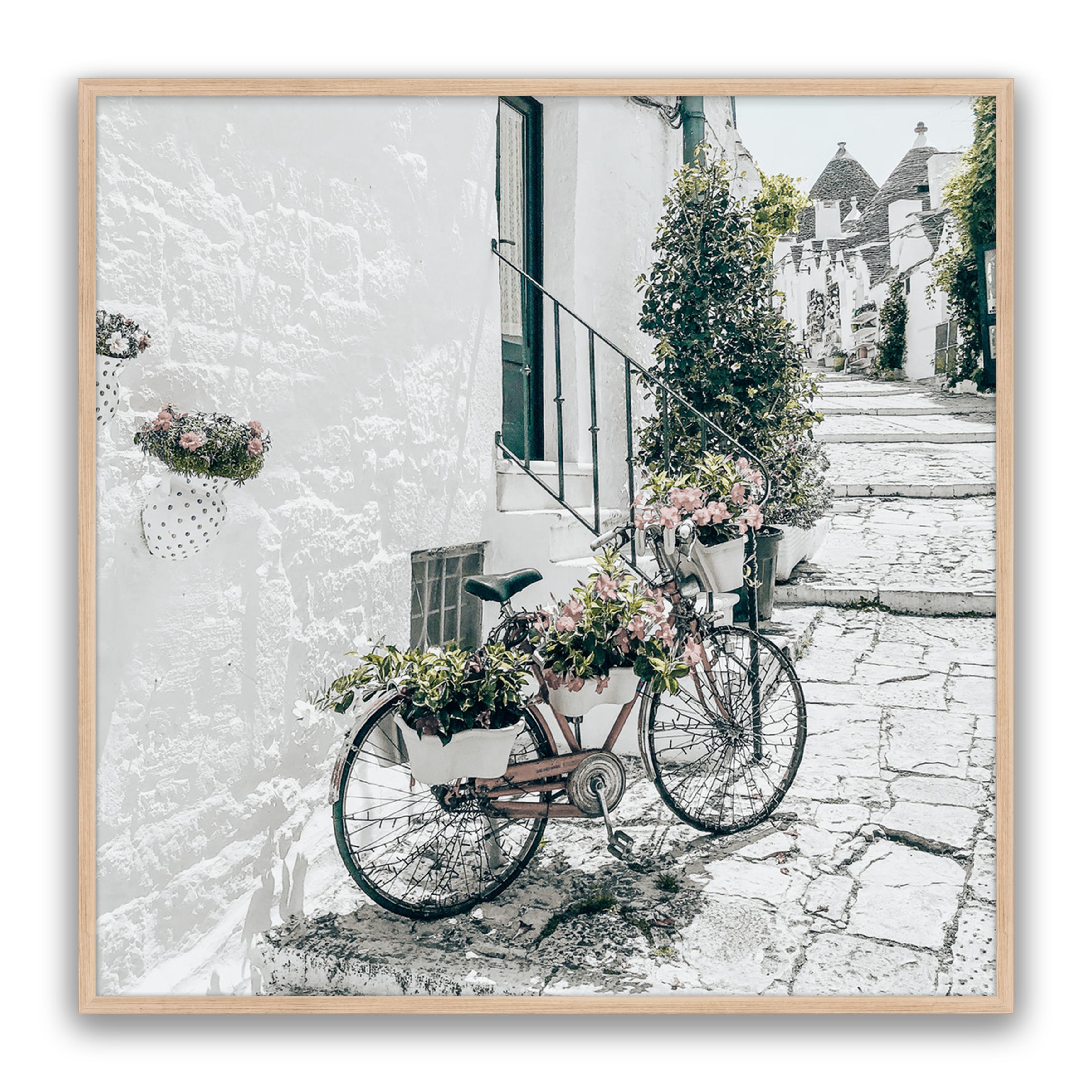 Amore Bike