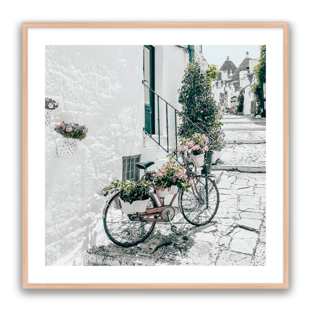 Amore Bike