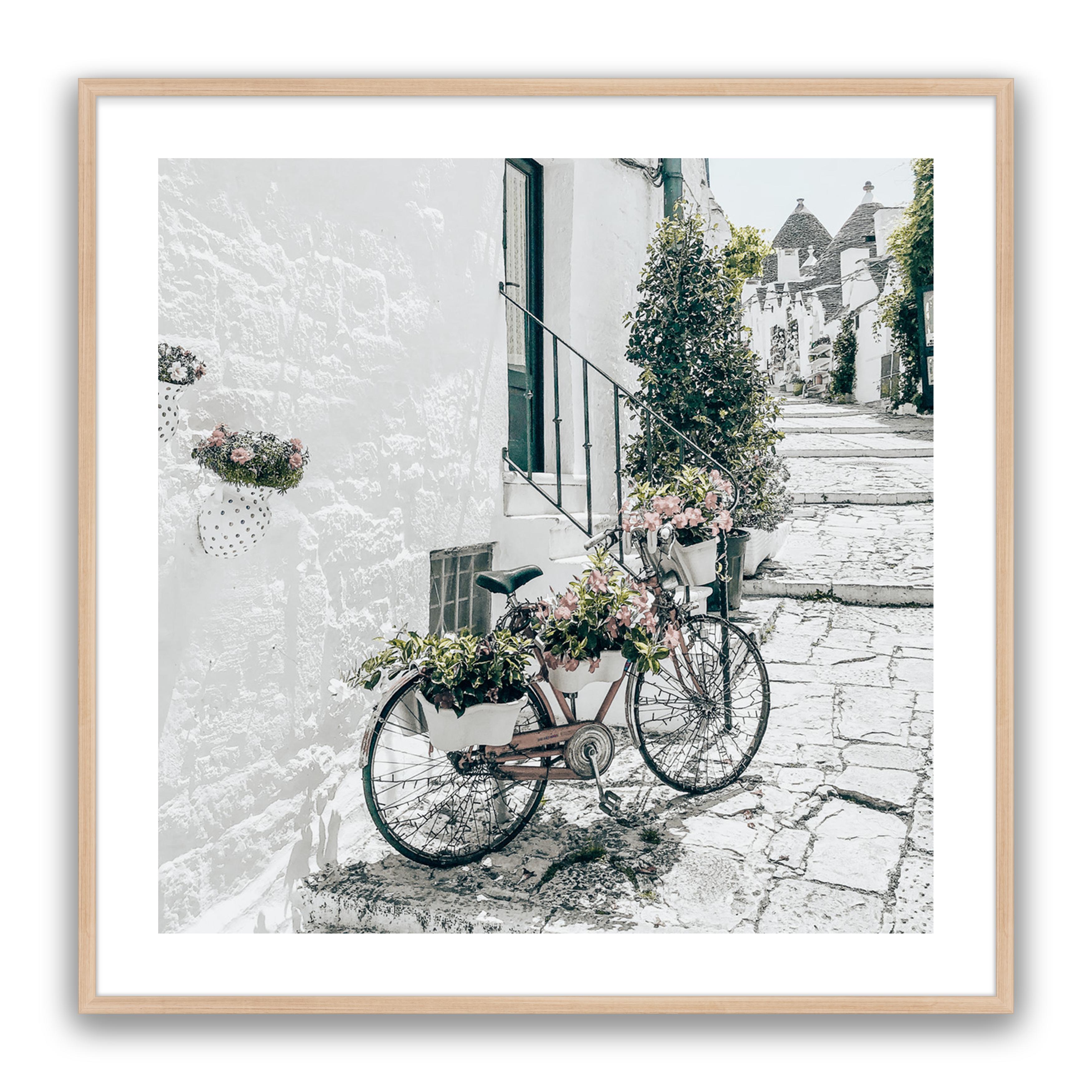 Amore Bike