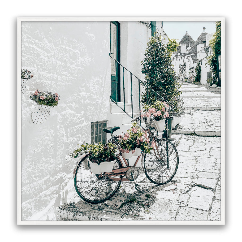 Amore Bike