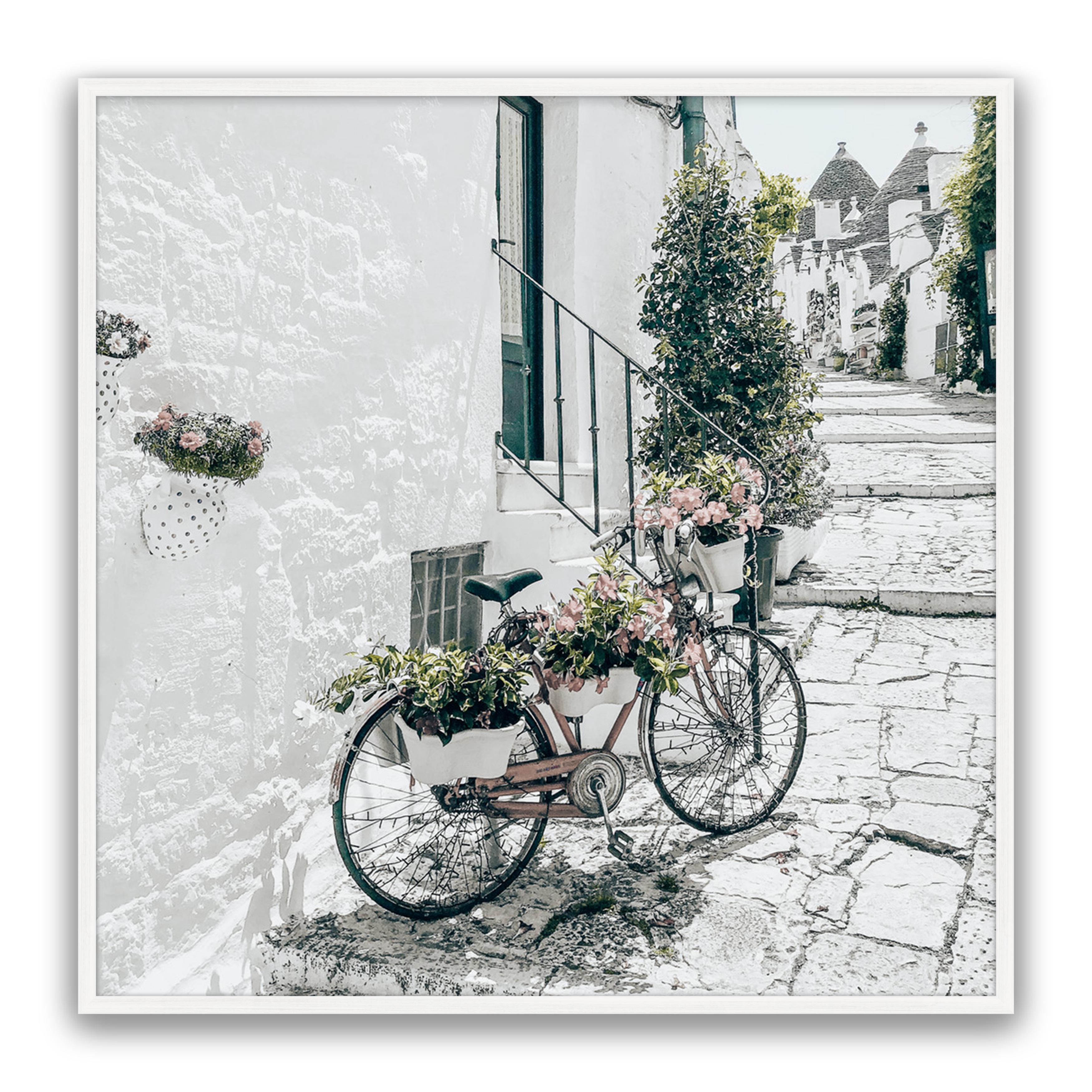 Amore Bike