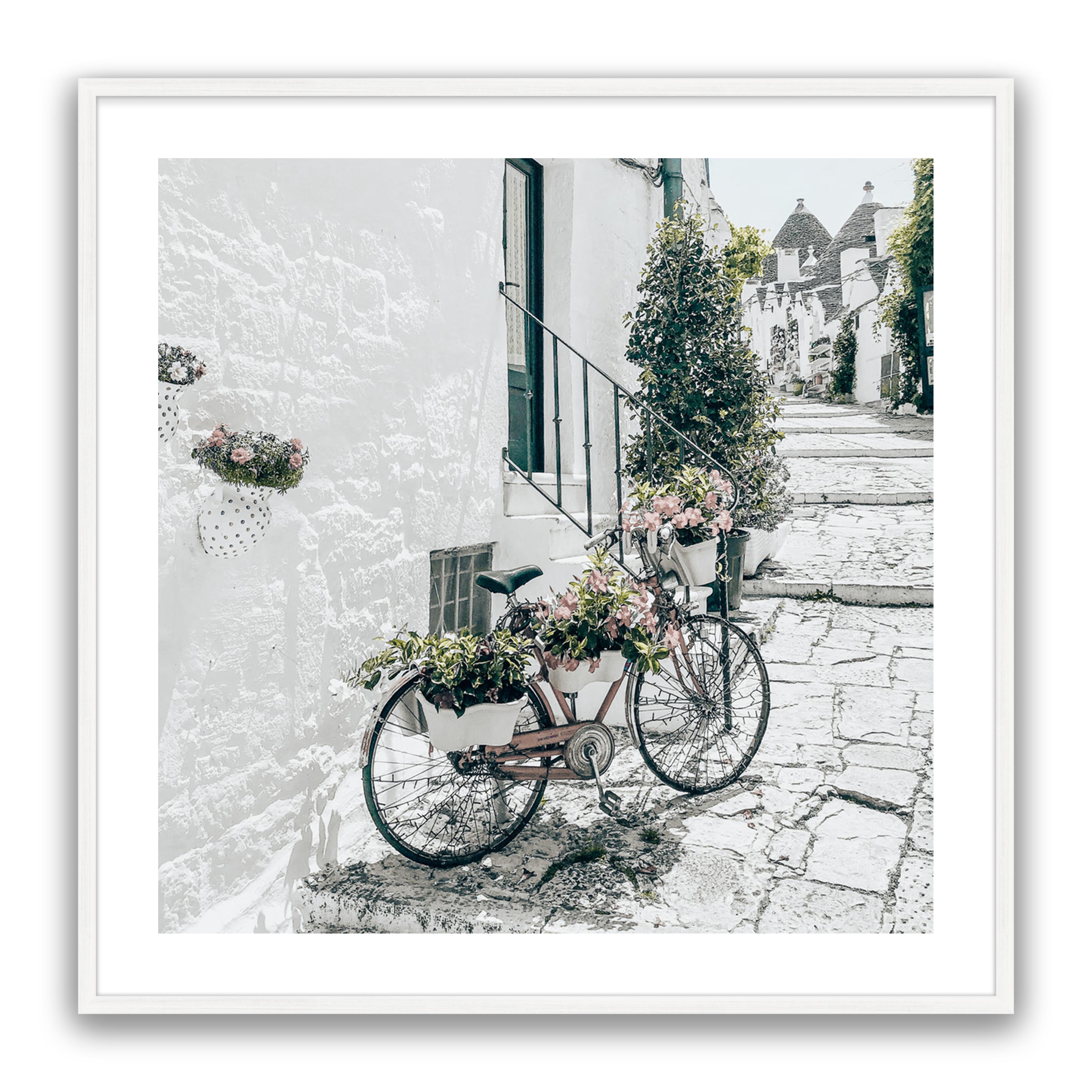 Amore Bike