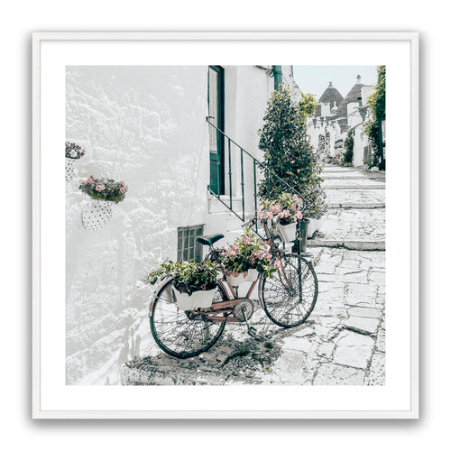 Amore Bike