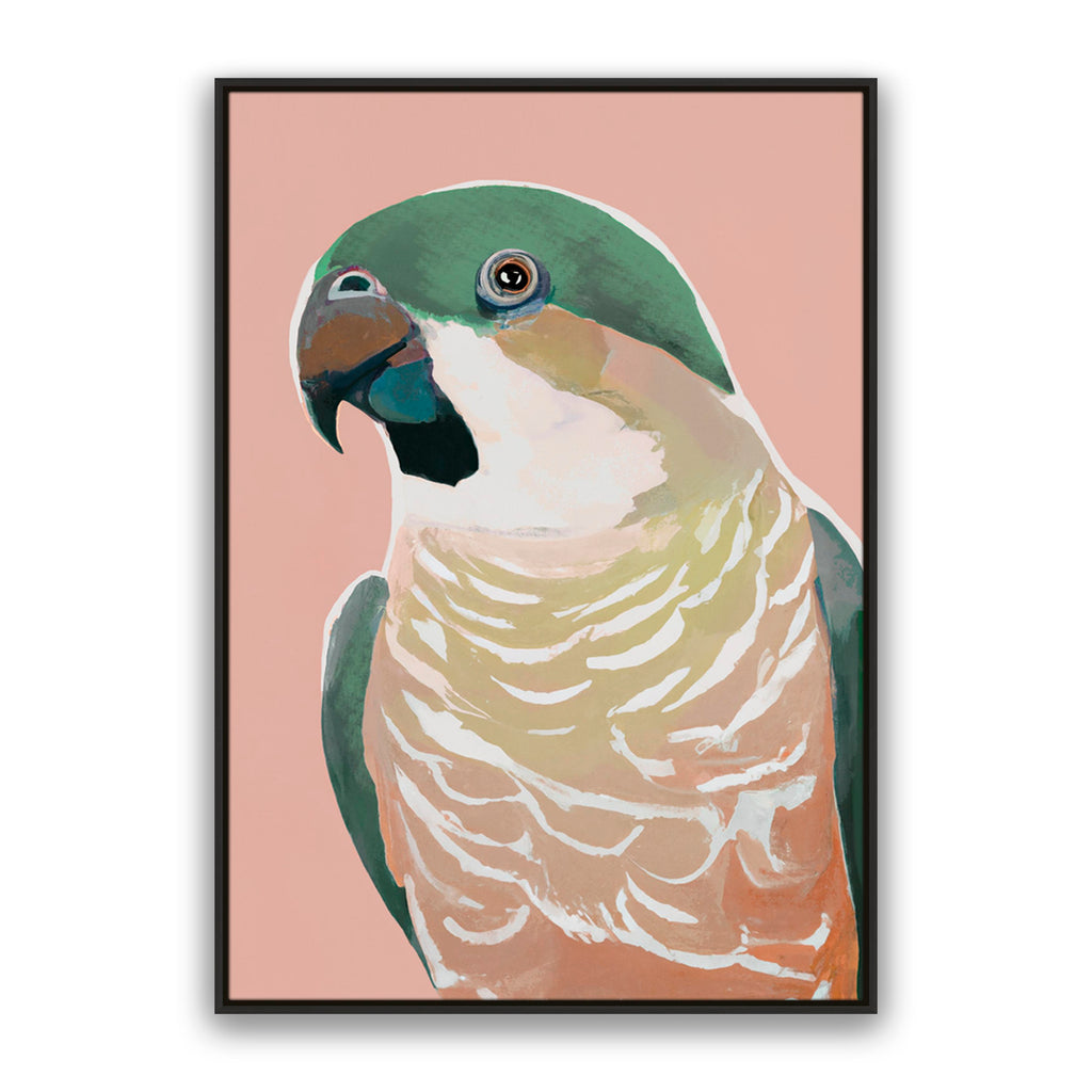 Prasine Cocky