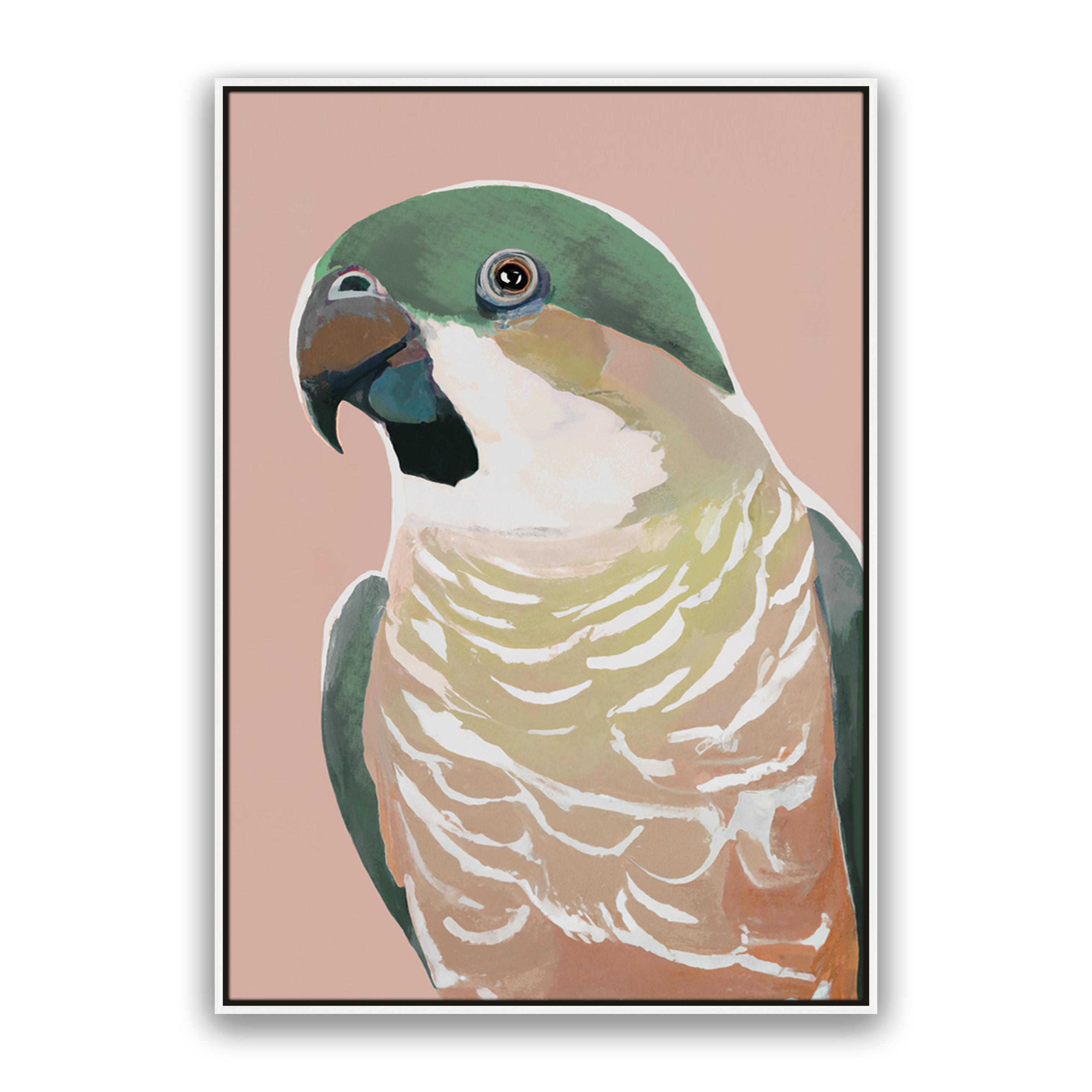 Prasine Cocky