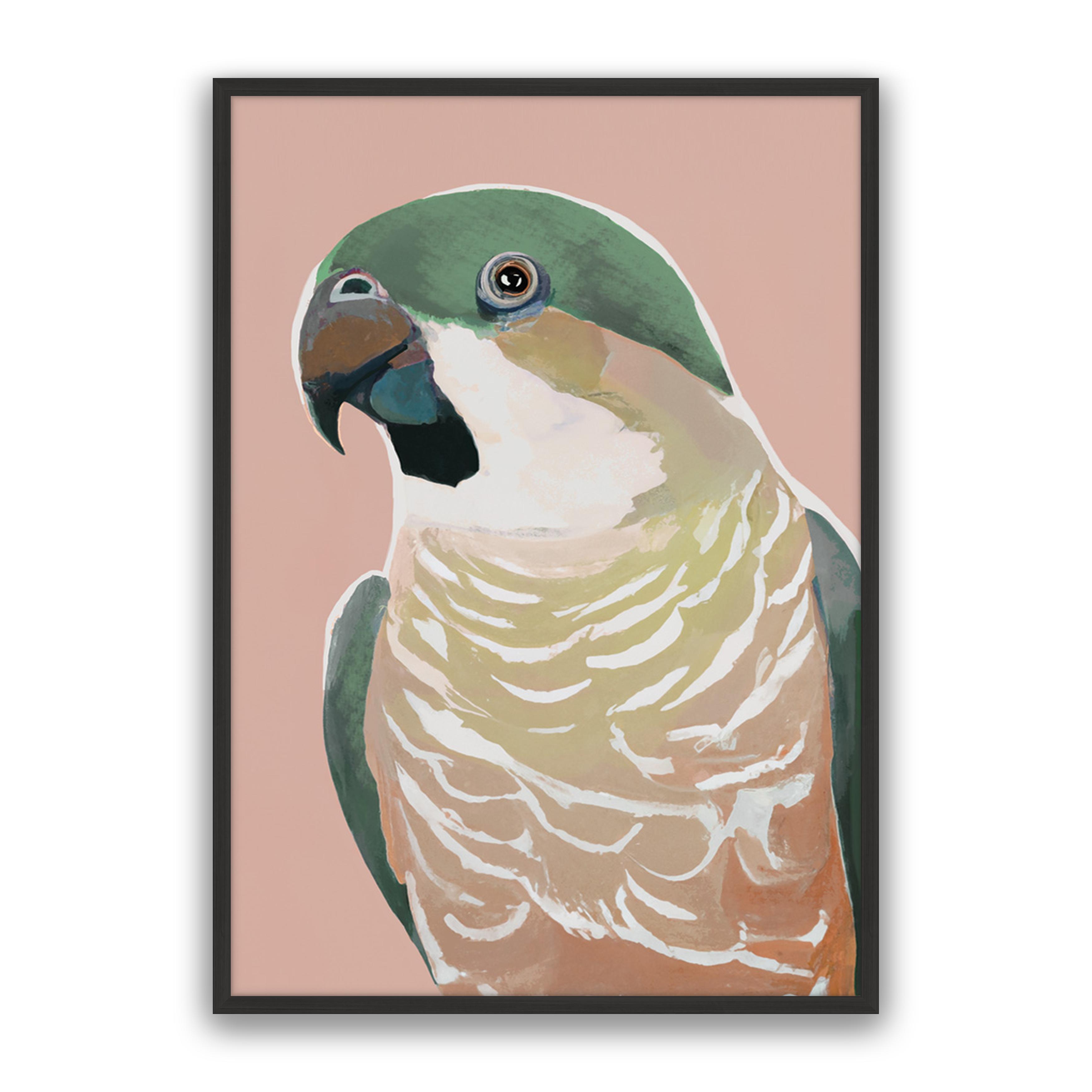 Prasine Cocky