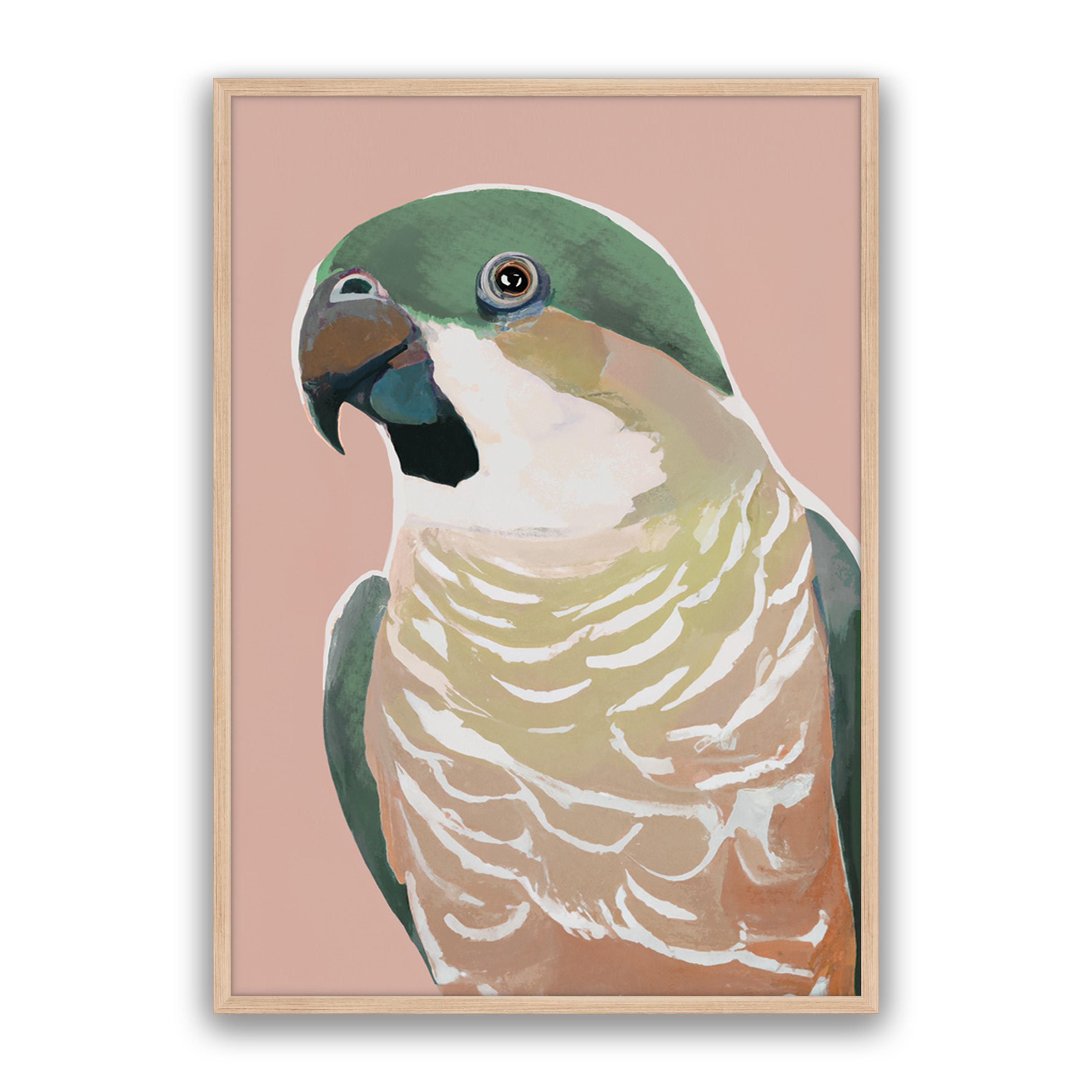 Prasine Cocky