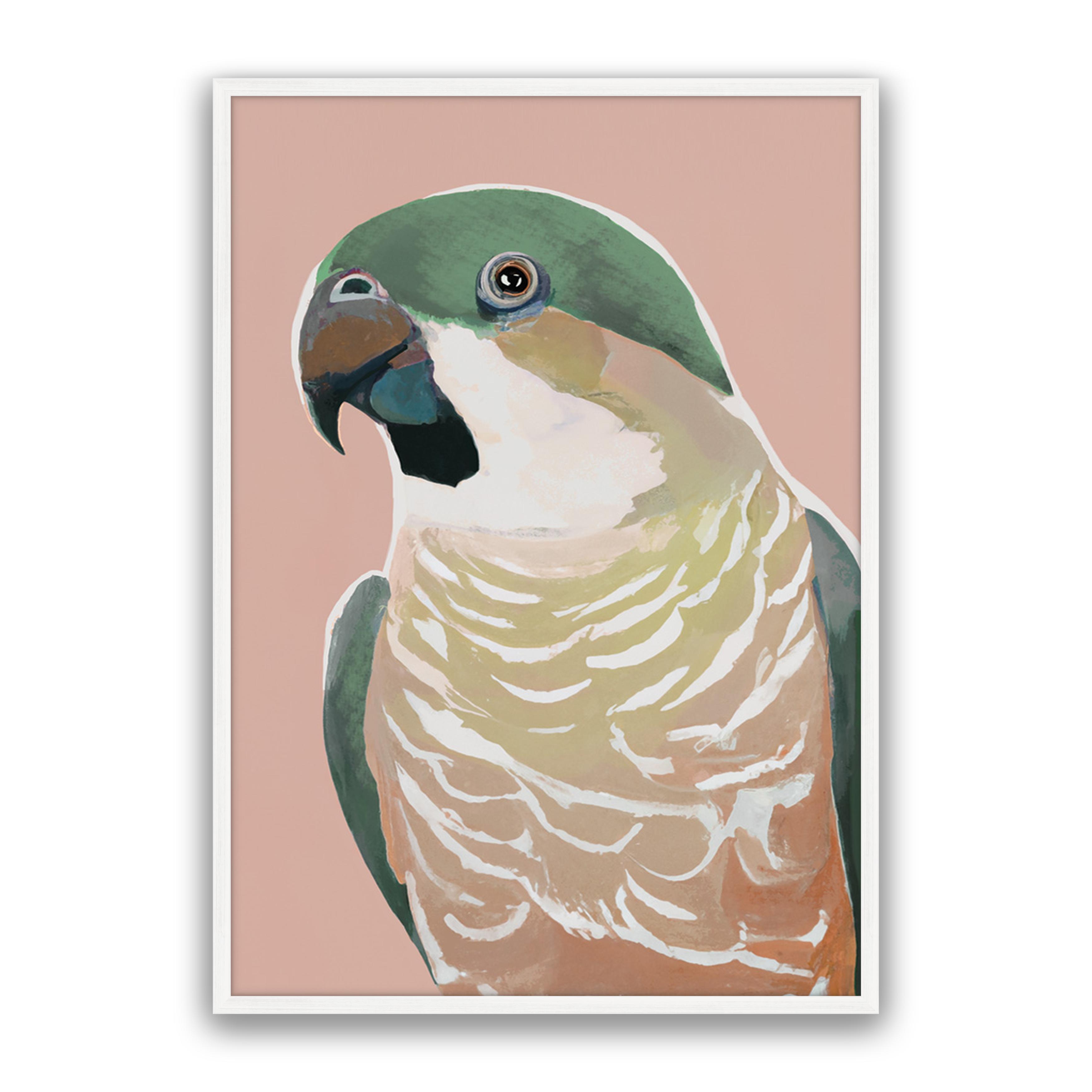 Prasine Cocky