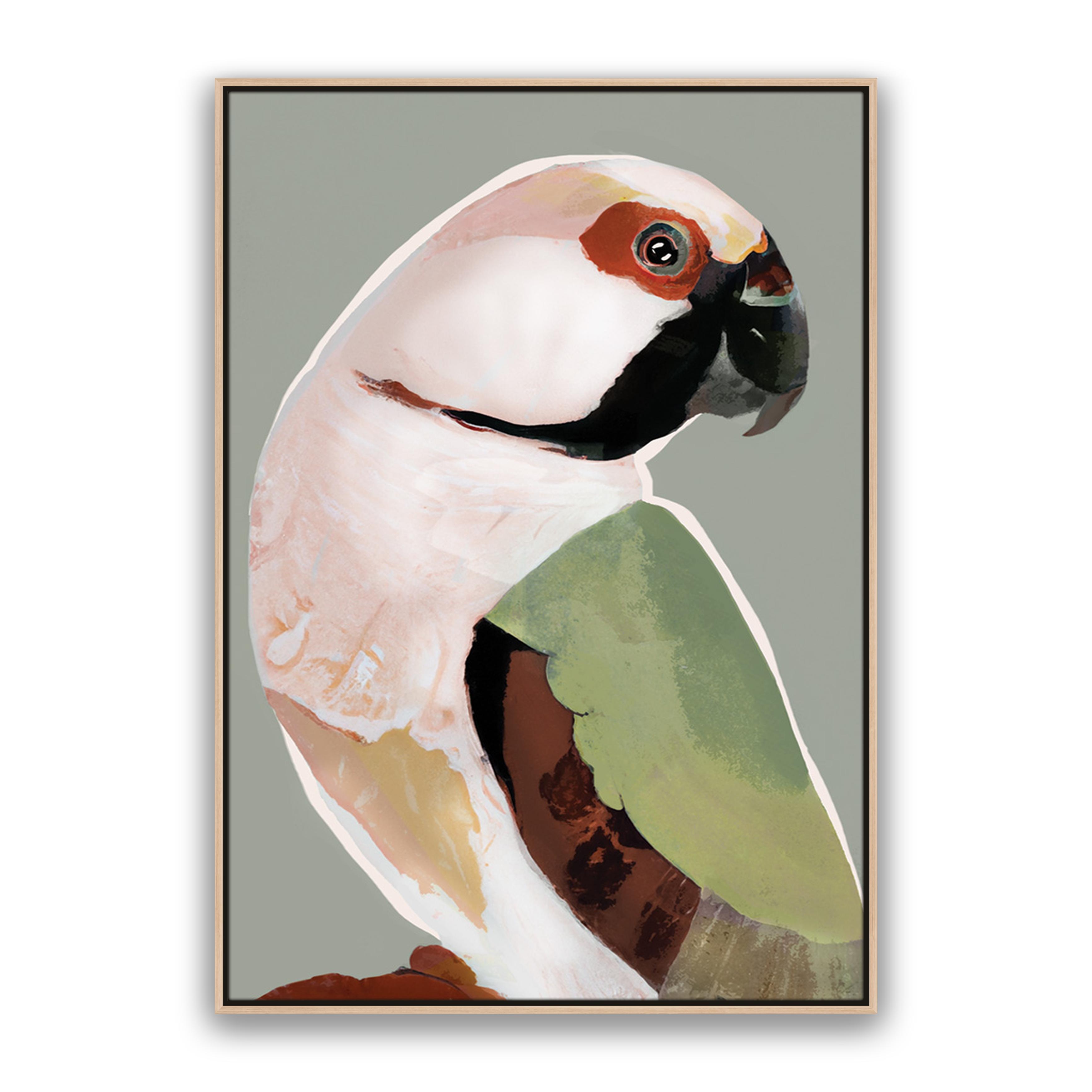 Prasine Parrot