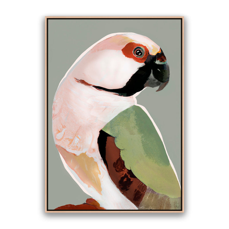 Prasine Parrot