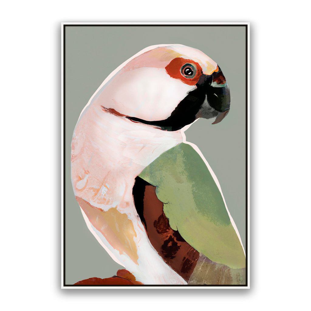 Prasine Parrot