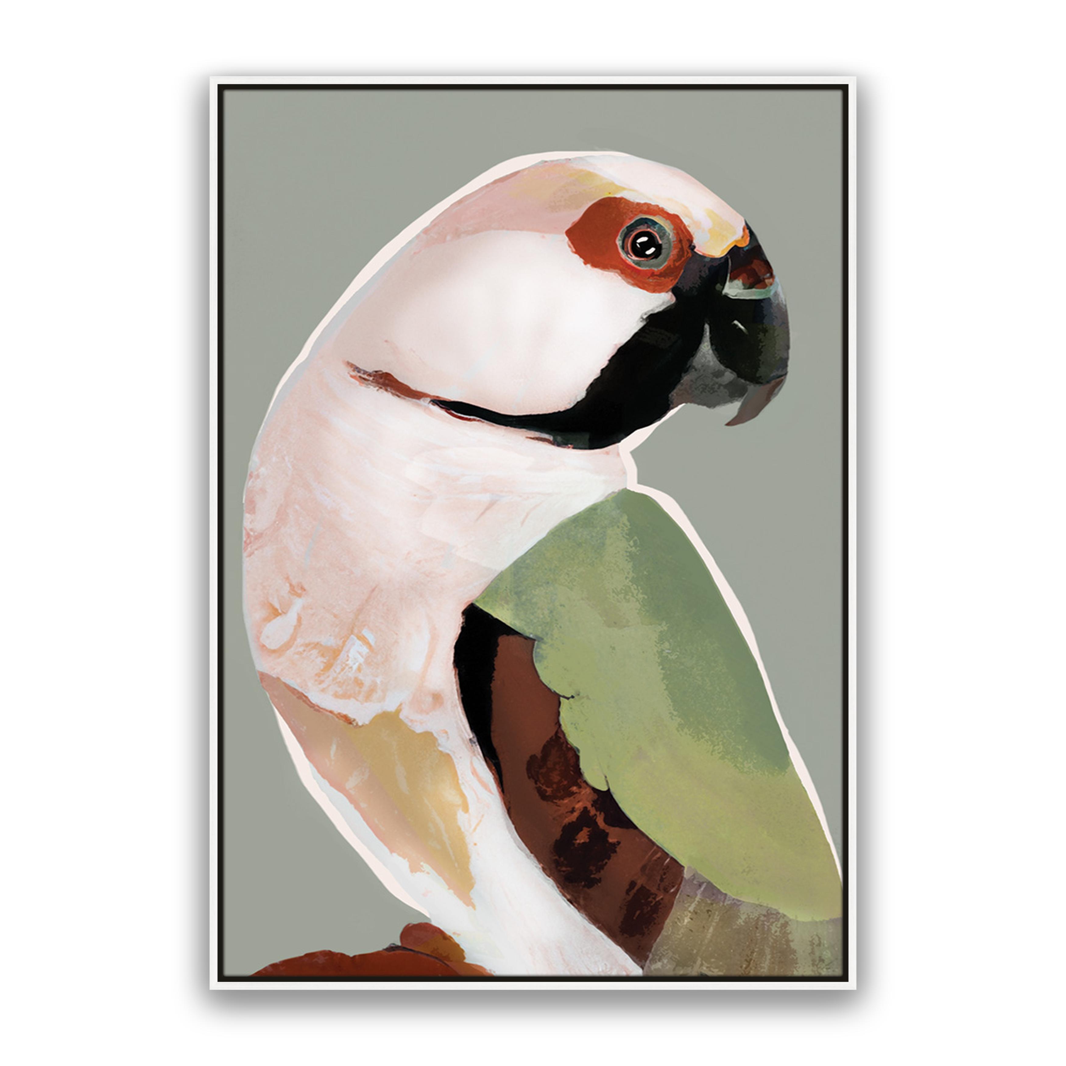 Prasine Parrot