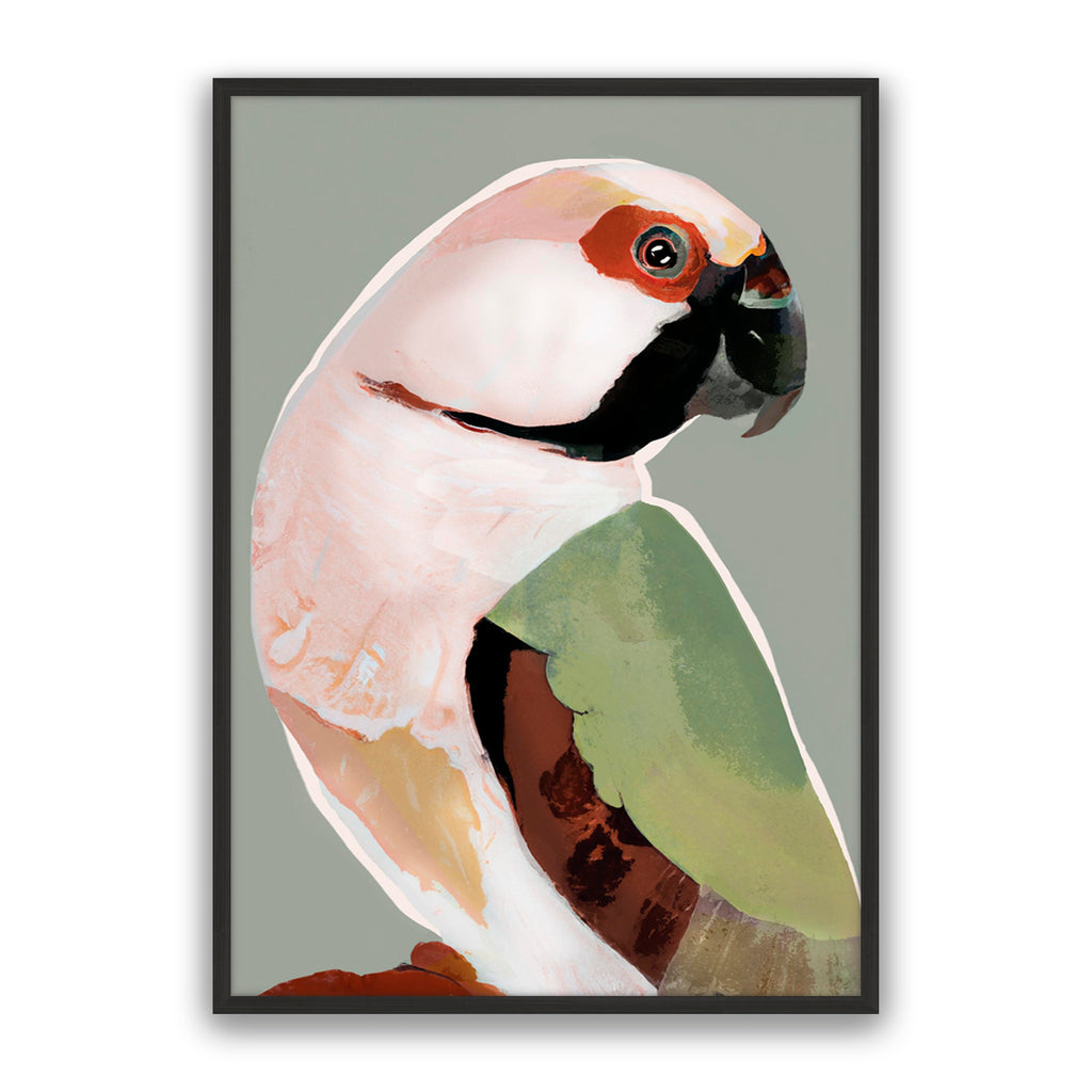 Prasine Parrot