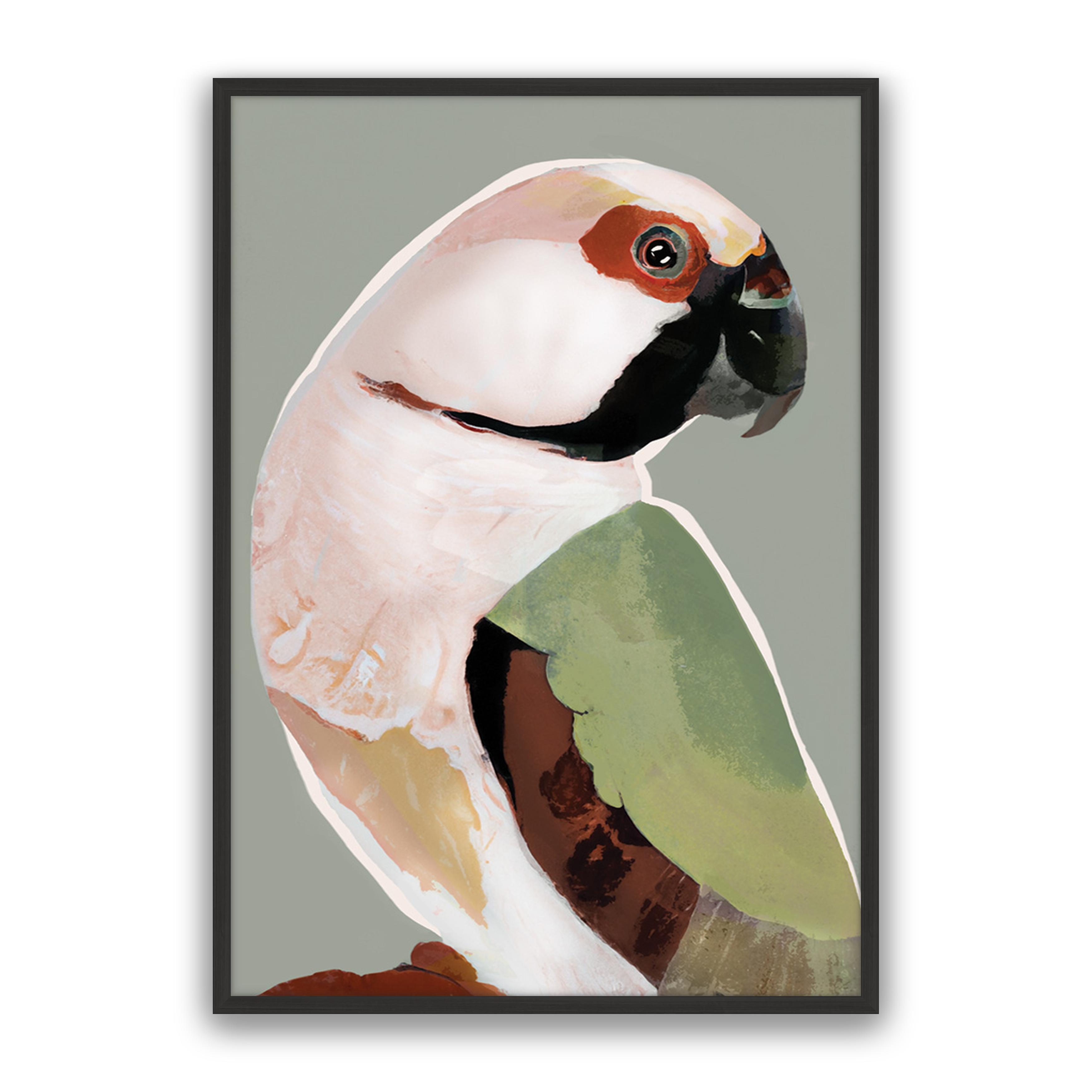 Prasine Parrot