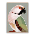 Prasine Parrot